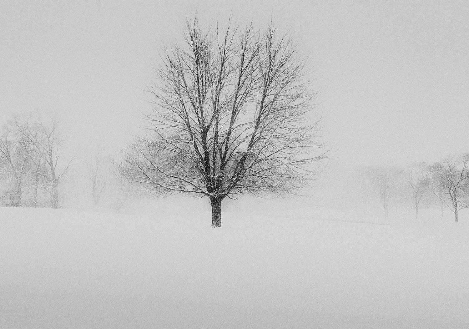 Week 10 - Snowstorm at Nab Lake