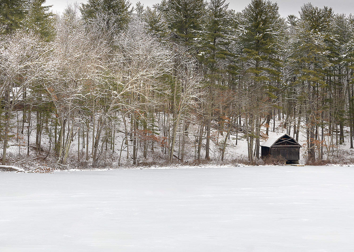 Week 5 - Burges Pond