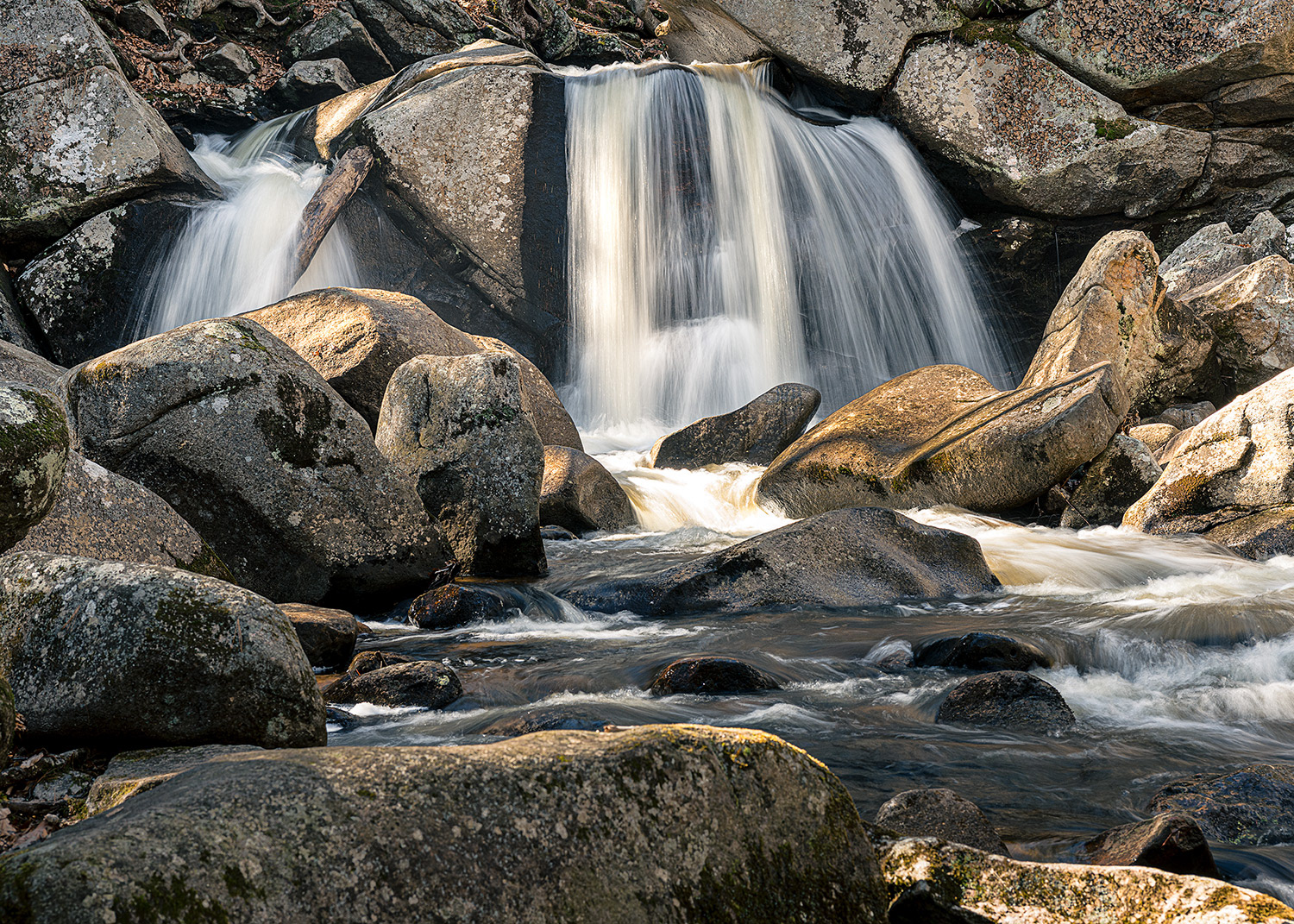 Week 12 - Trap Falls