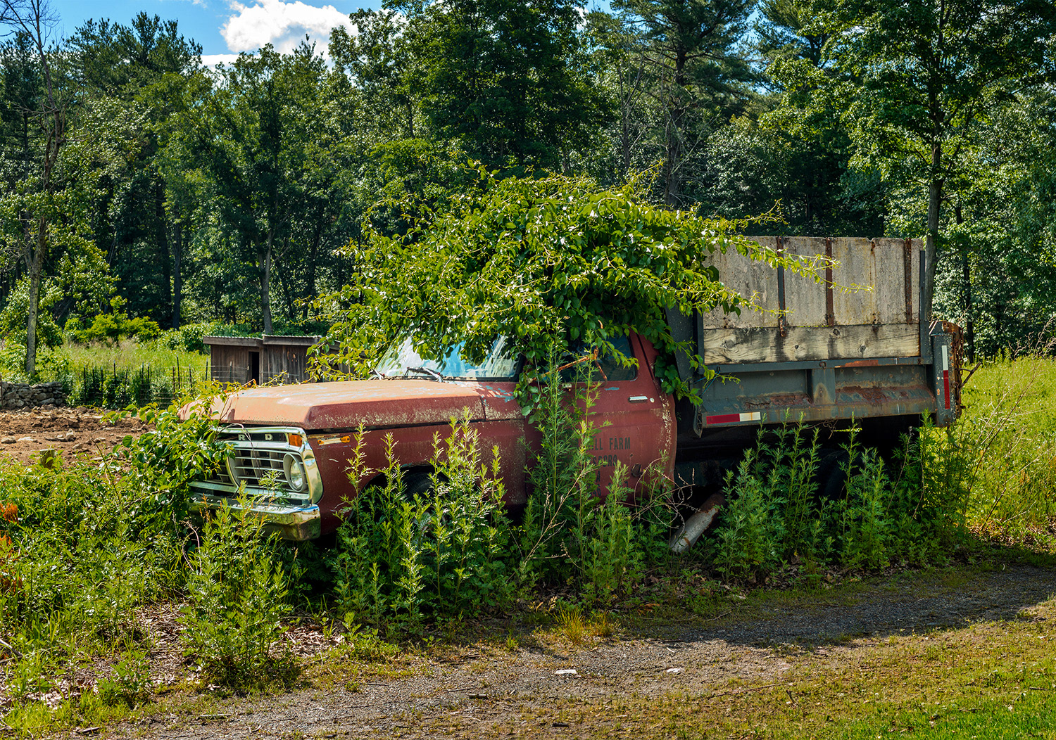 Week 25 - Bear Hill Farm