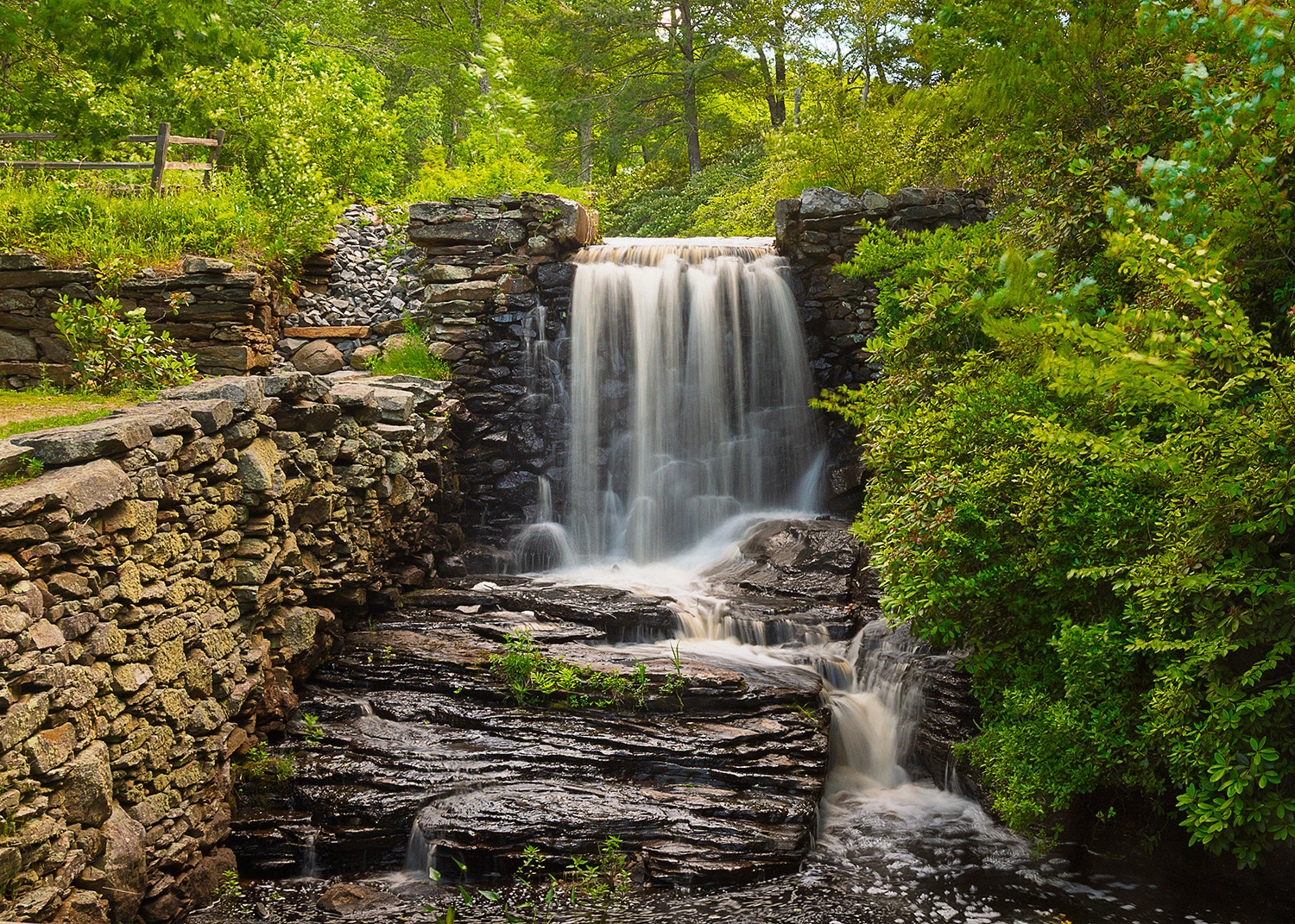 Week 25 - Moore State Park