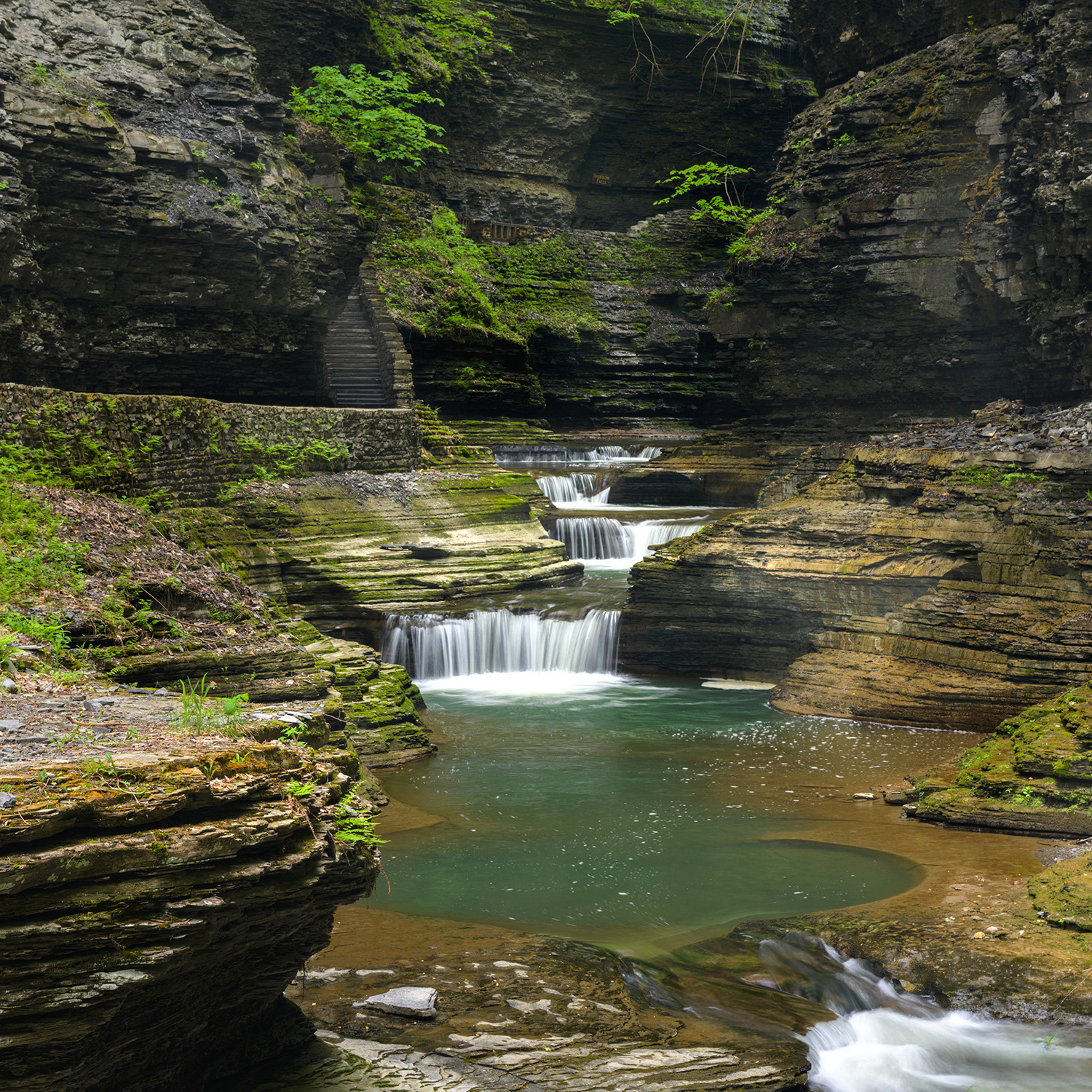 Gorge Trail