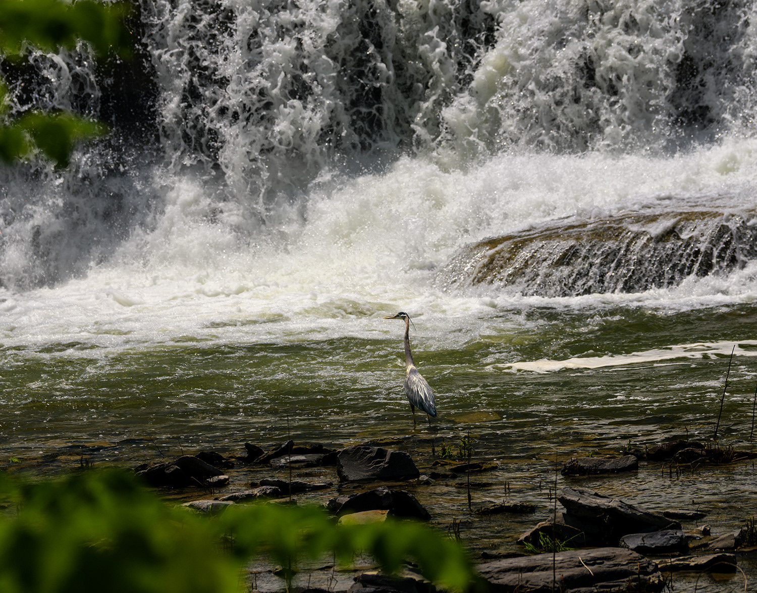 Taughannock State Park