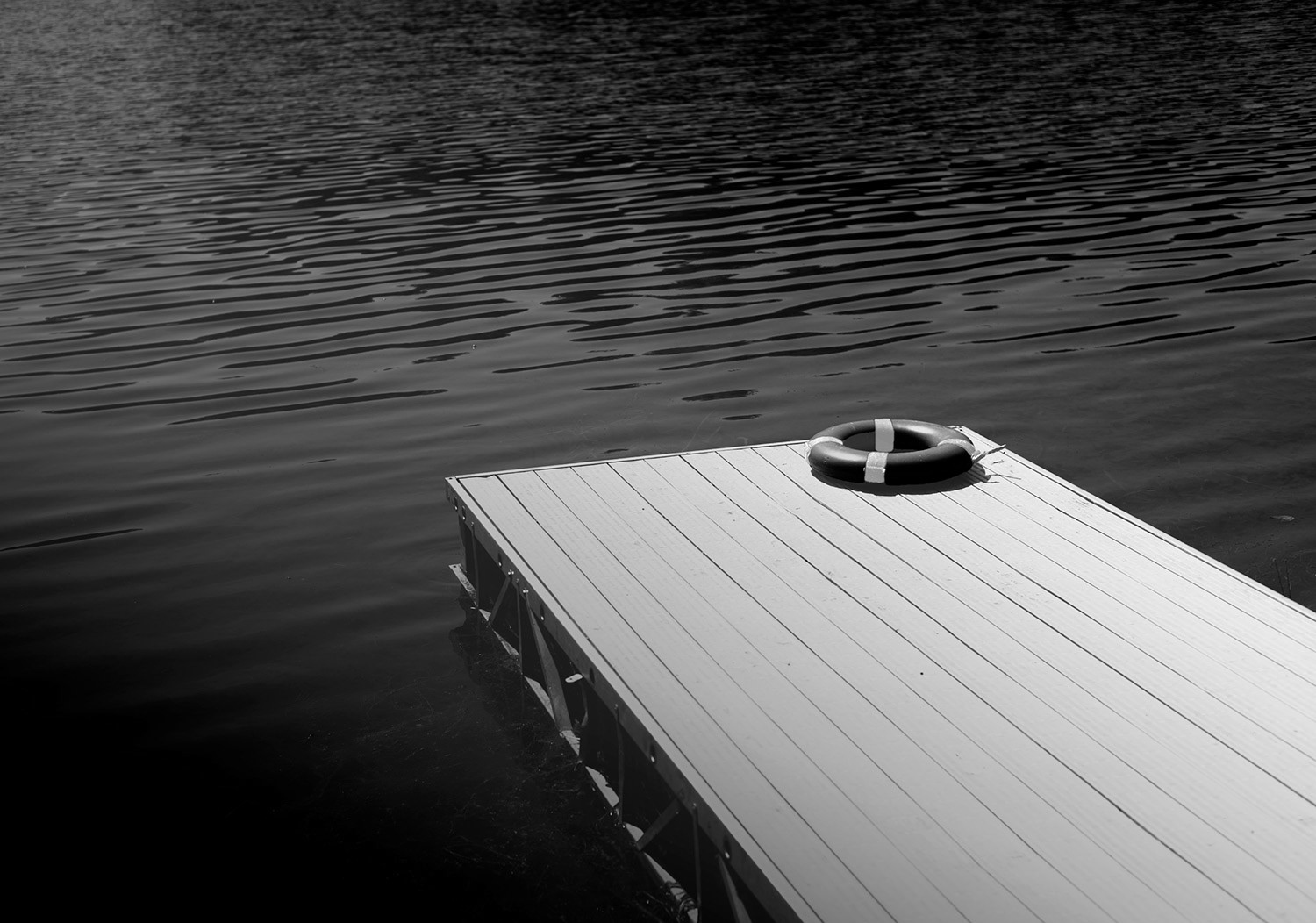 Week 15 - Burges Pond