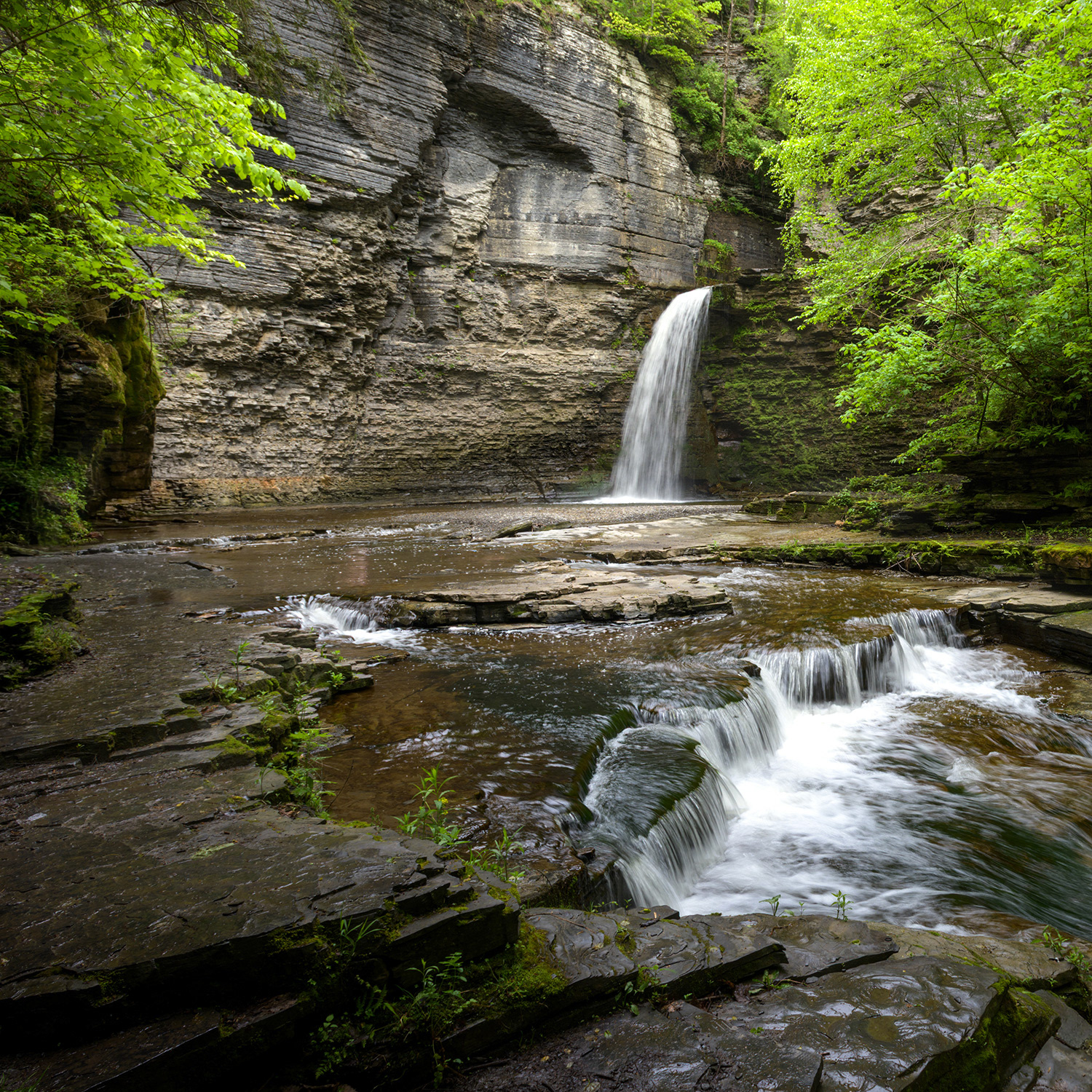 Eagle Cliff Falls