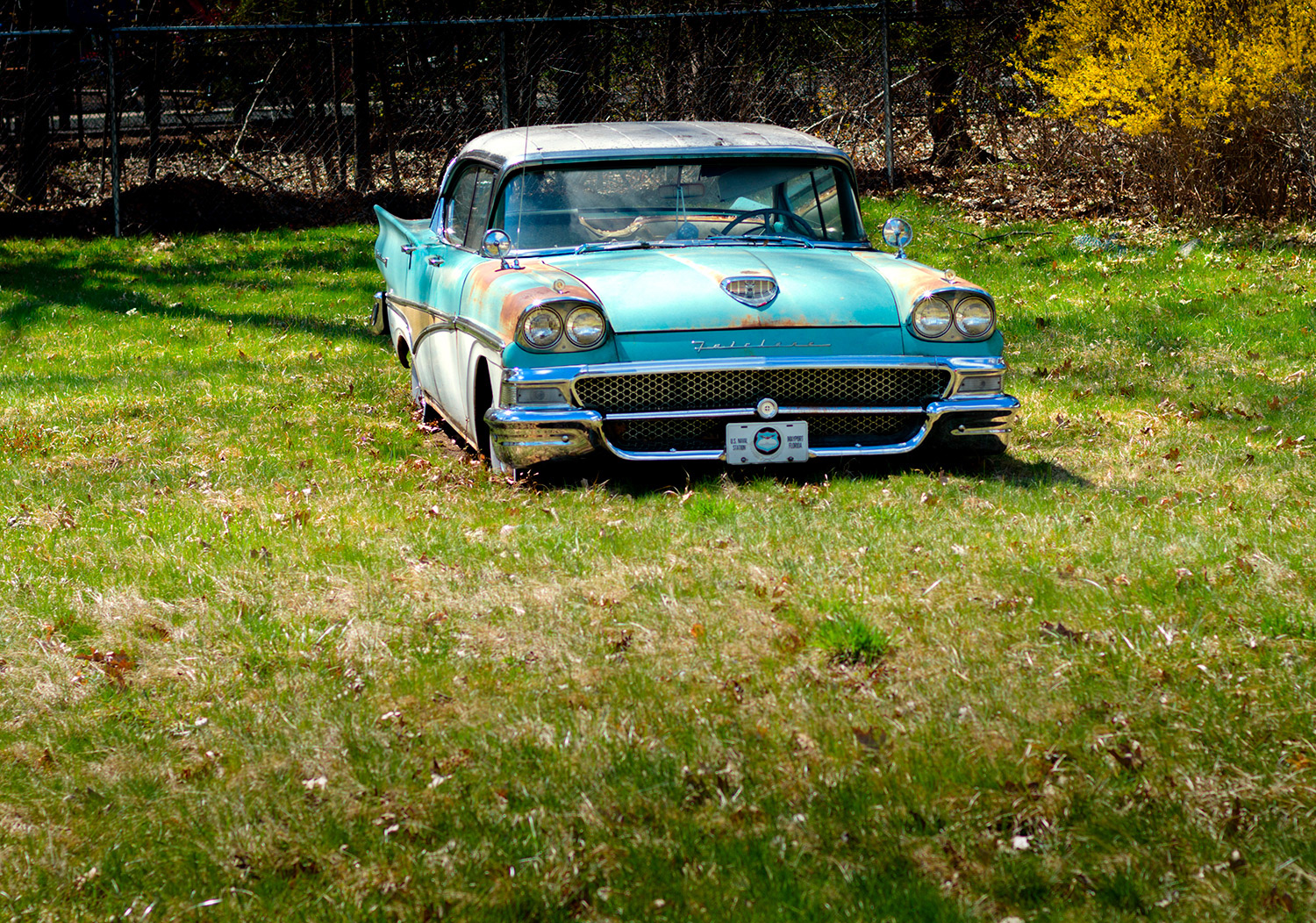 Week 17 - 1958 Fairlane