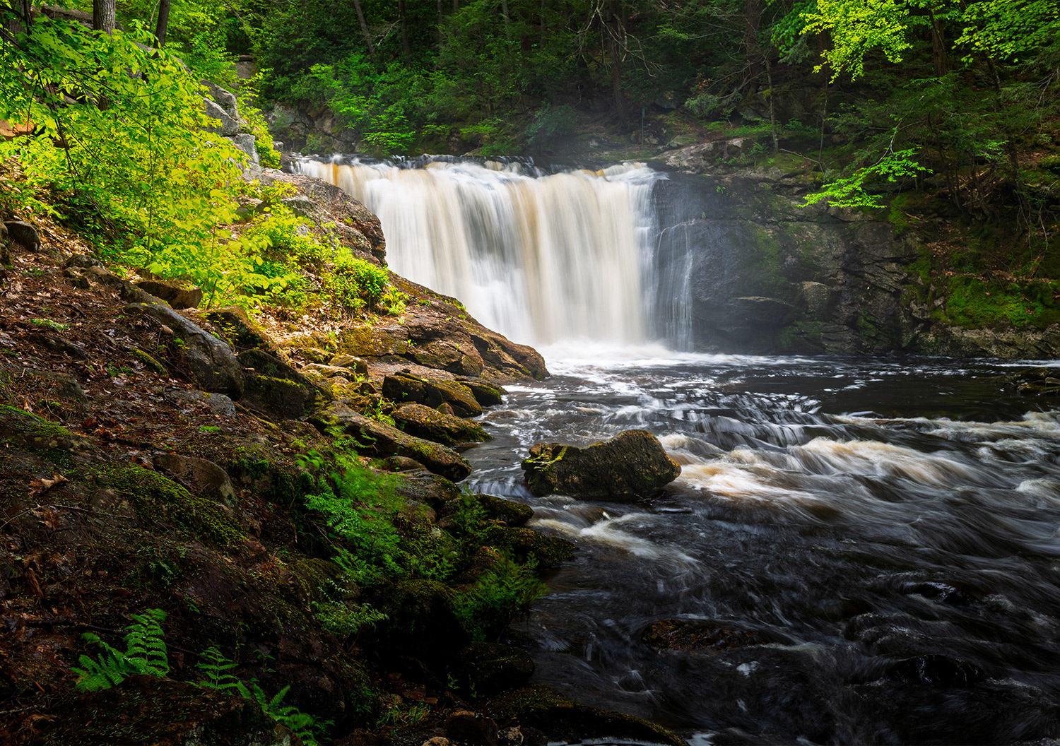 Week 22 - Doane’s Falls