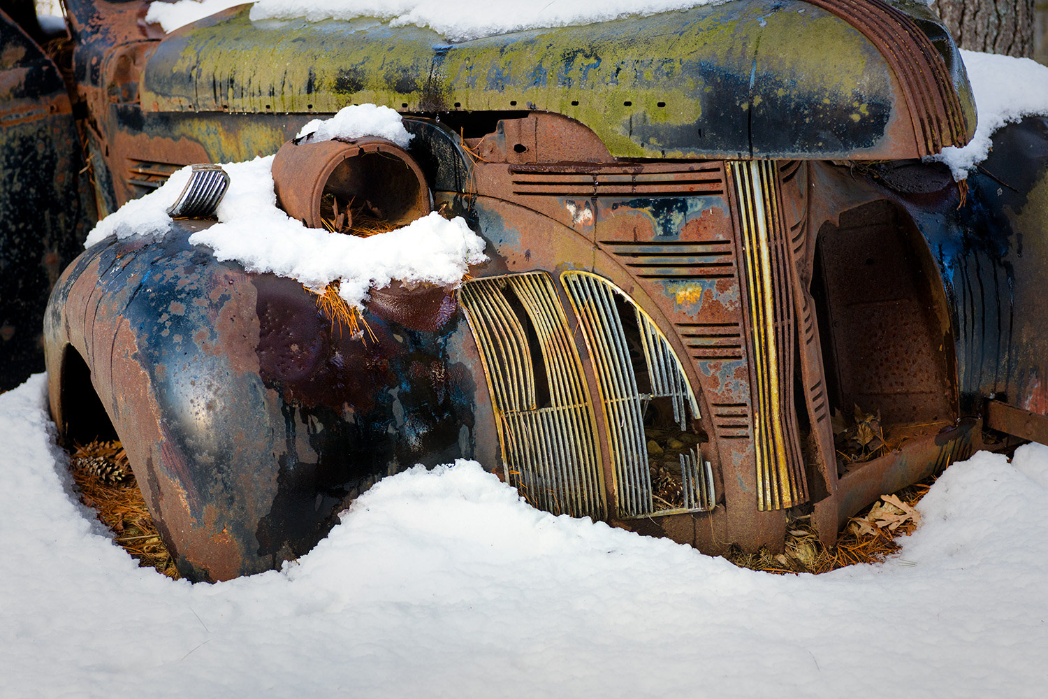 Week 4 - Nashoba Brook