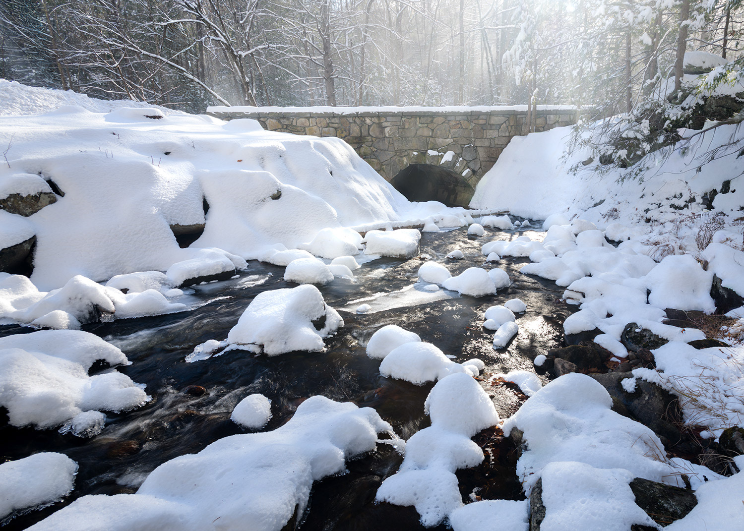 Week 49 - Trap Brook