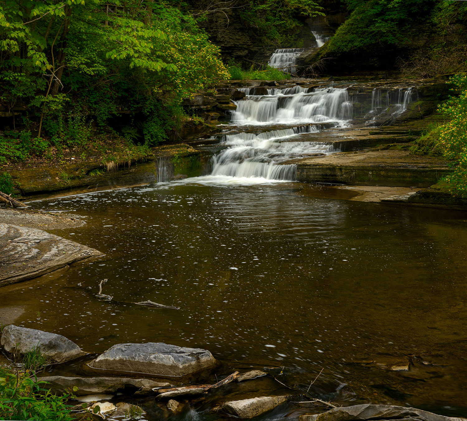 Havana Glen