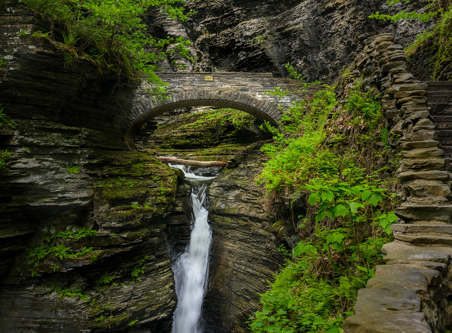 Gorge Trail