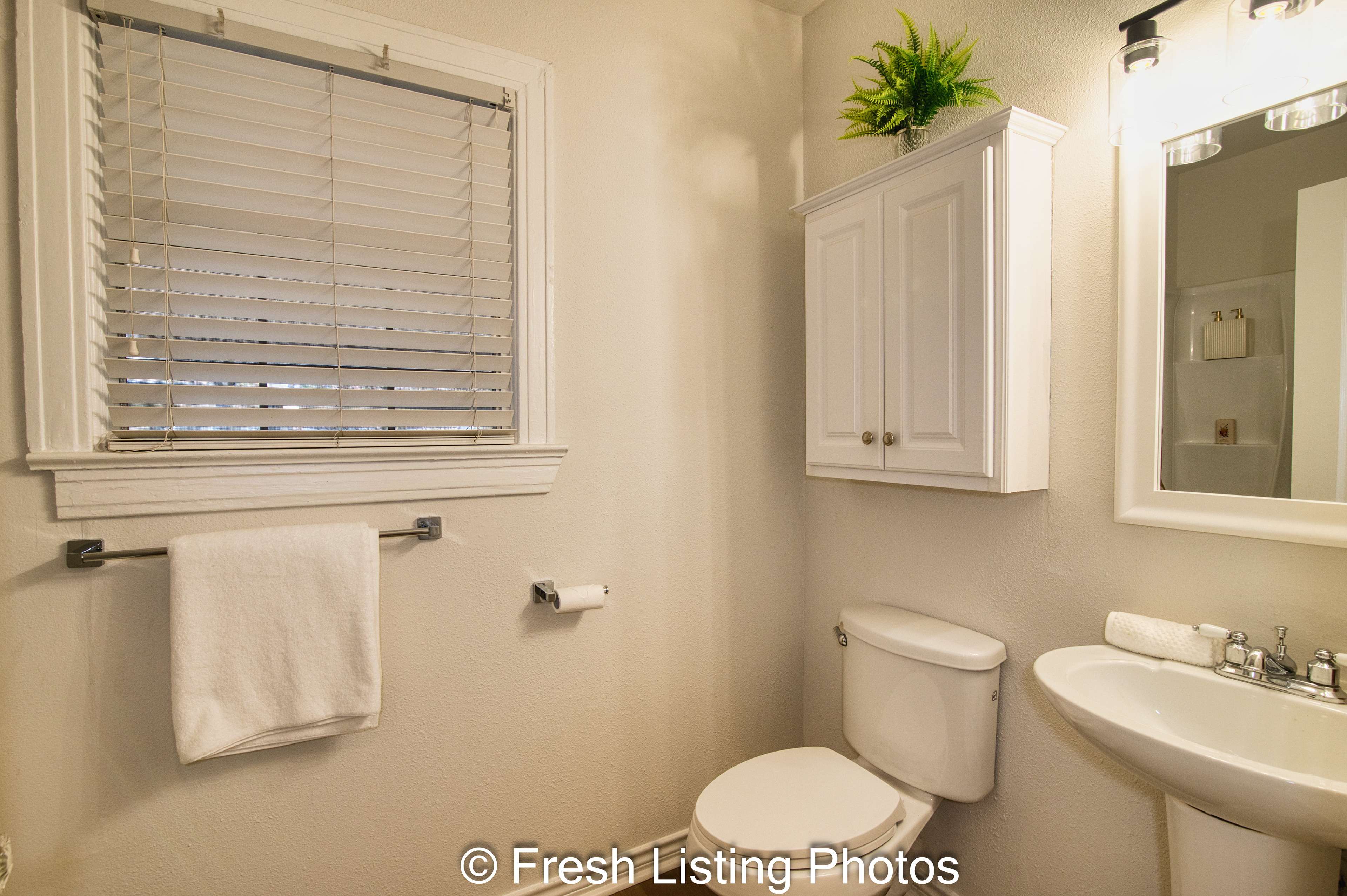 Primary bathroom and window