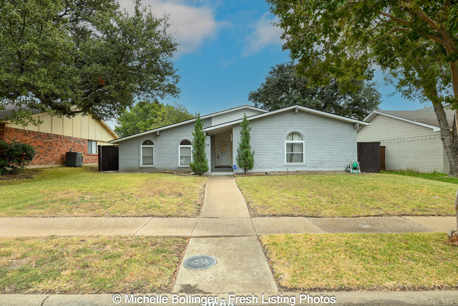 Evergreen tree lined walkway