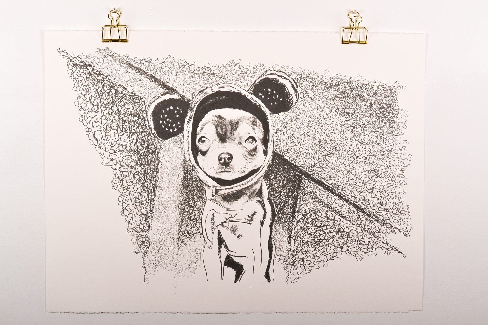 Hand Drawn UV screen print of a cute chihuahua wearing a bear costume, drawn in black and white