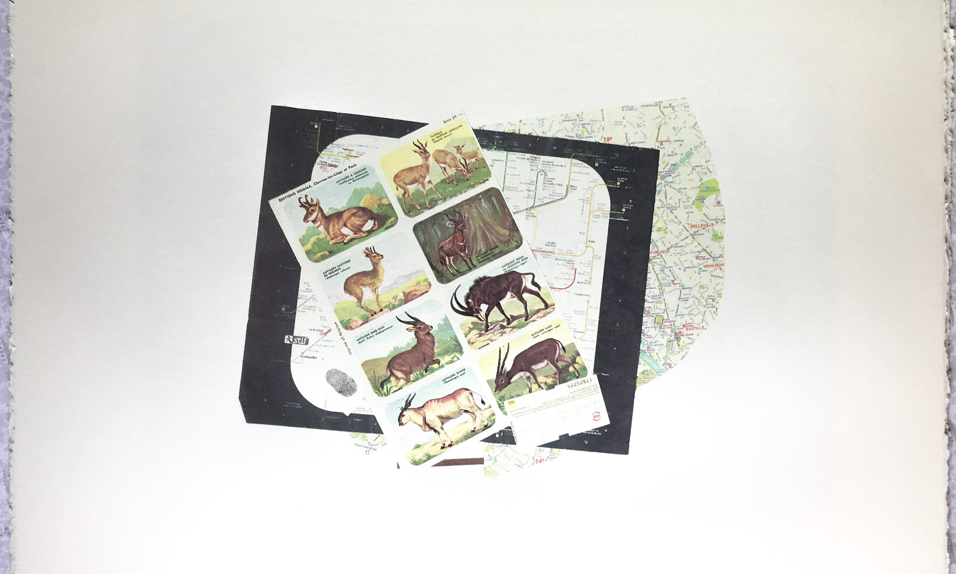 Photographic UV screen print of a selection of collected items from living in Paris France