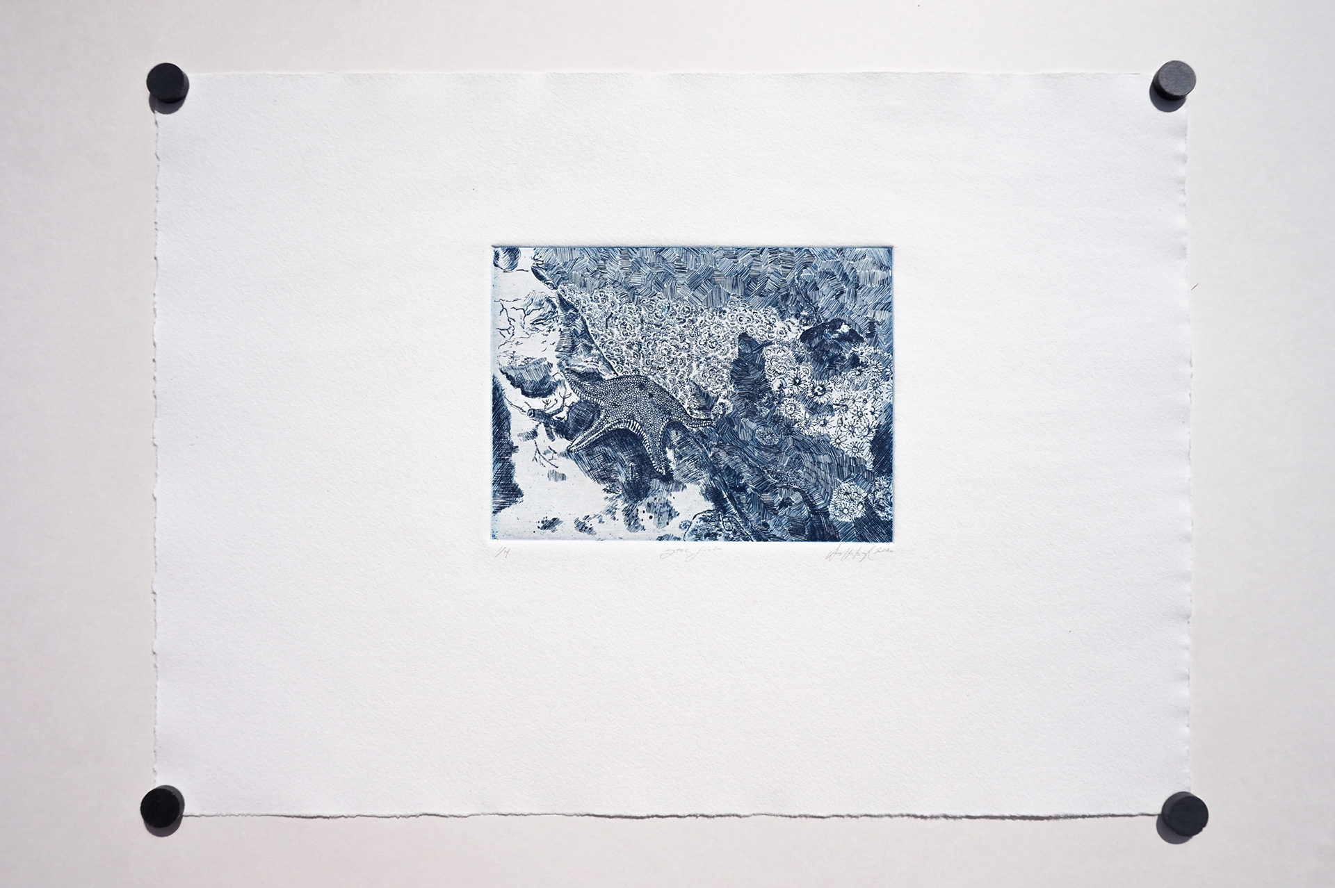 Detailed etching of a coral reef with a starfish printed in a navy blue. 