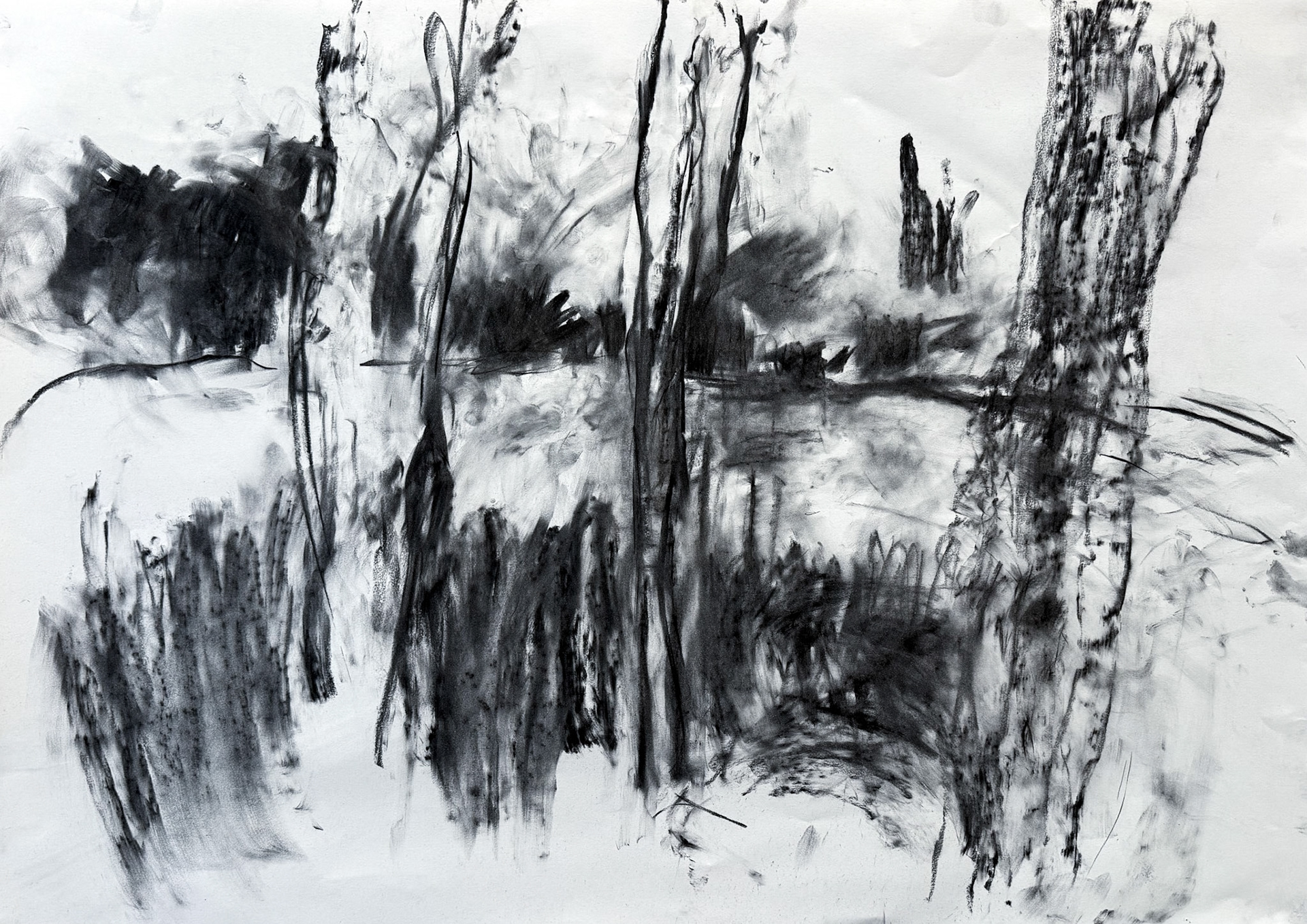 Body and Place 2024 - "Through trees"- Charcoal on Cartridge paper 59.5 x 84 cm