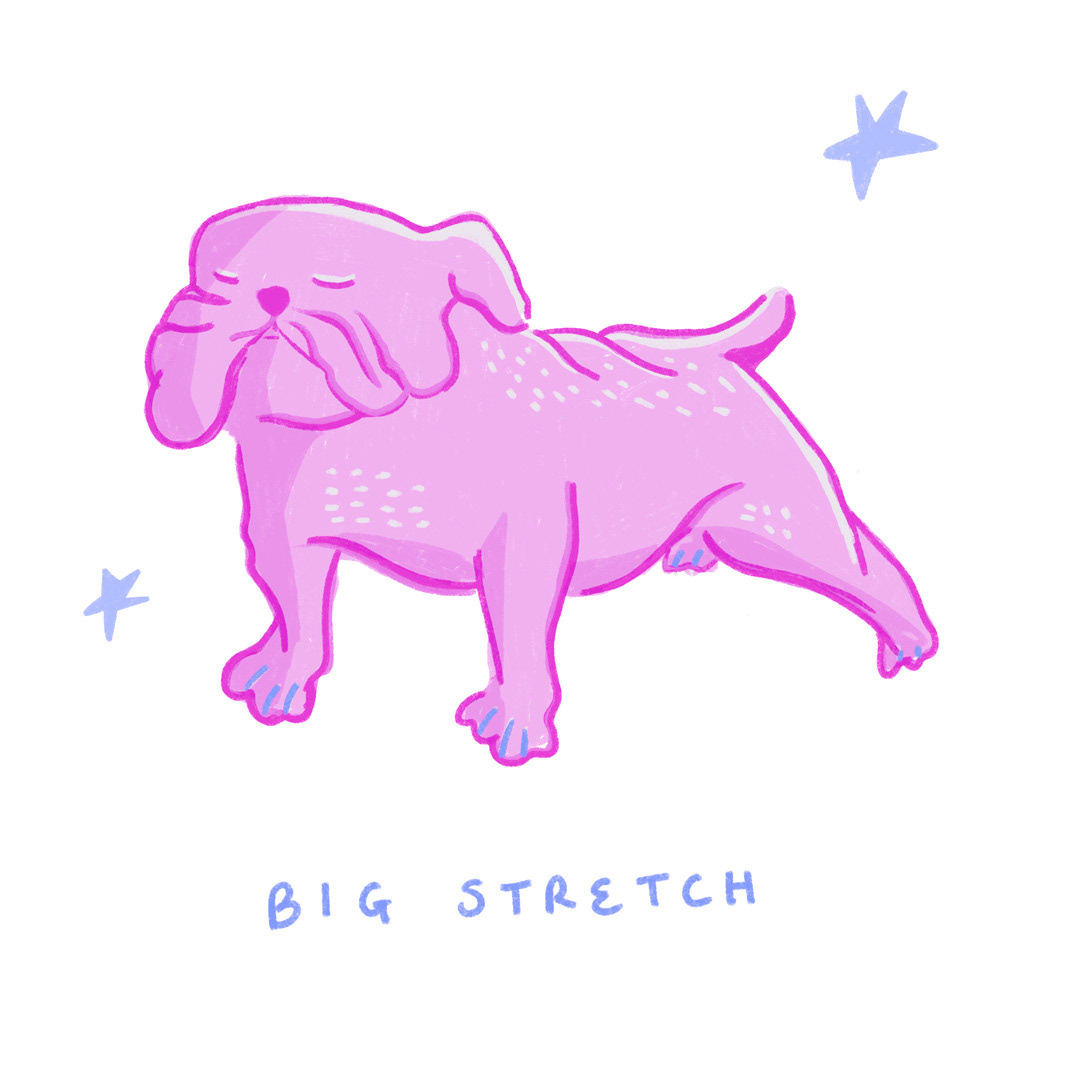 Stretching bulldog illustration in a fun, simplified style using bright brand colours.