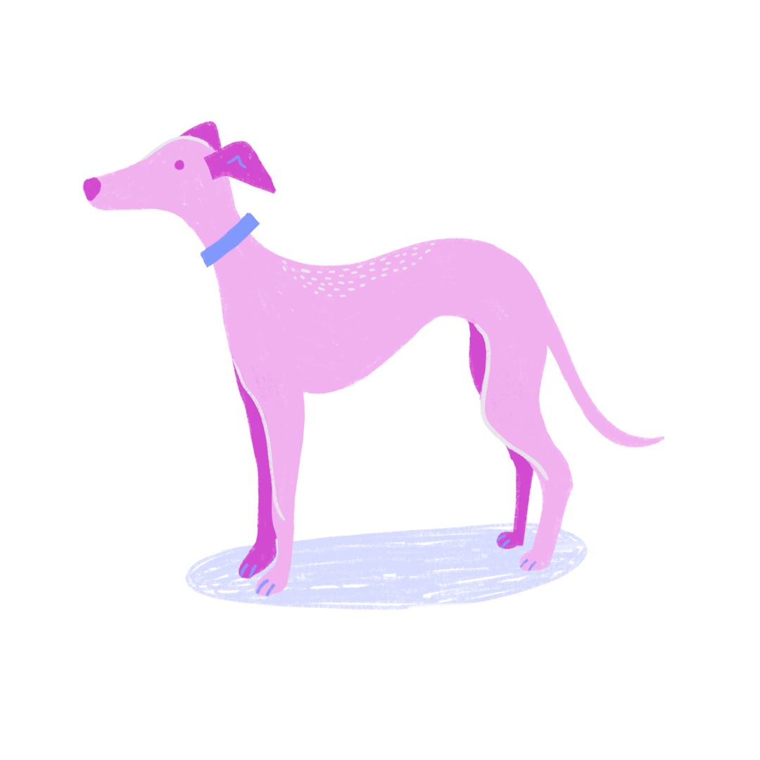 Animated whippet illustration with wagging tail, designed in a playful, stylised format.