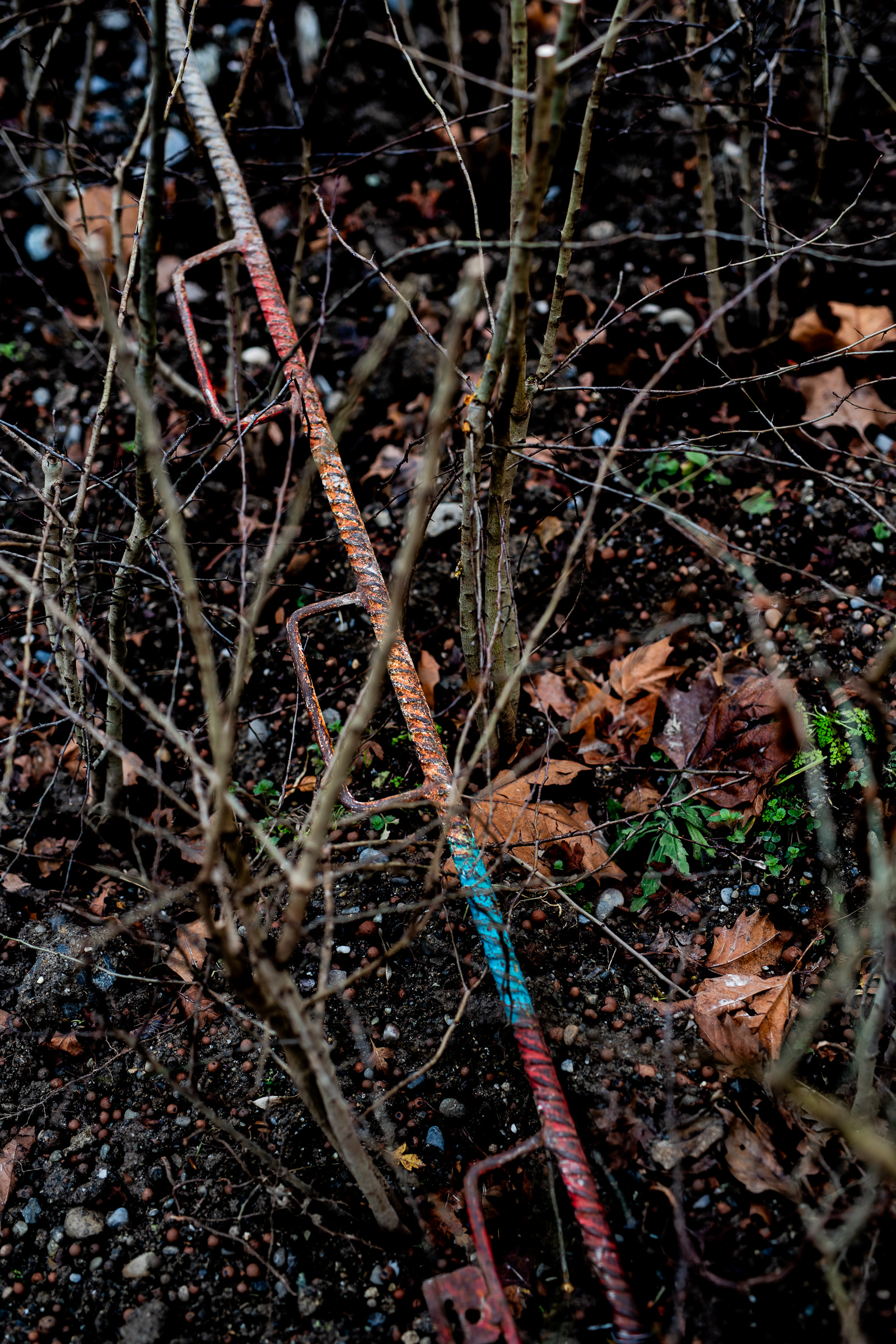axis and plants spinning