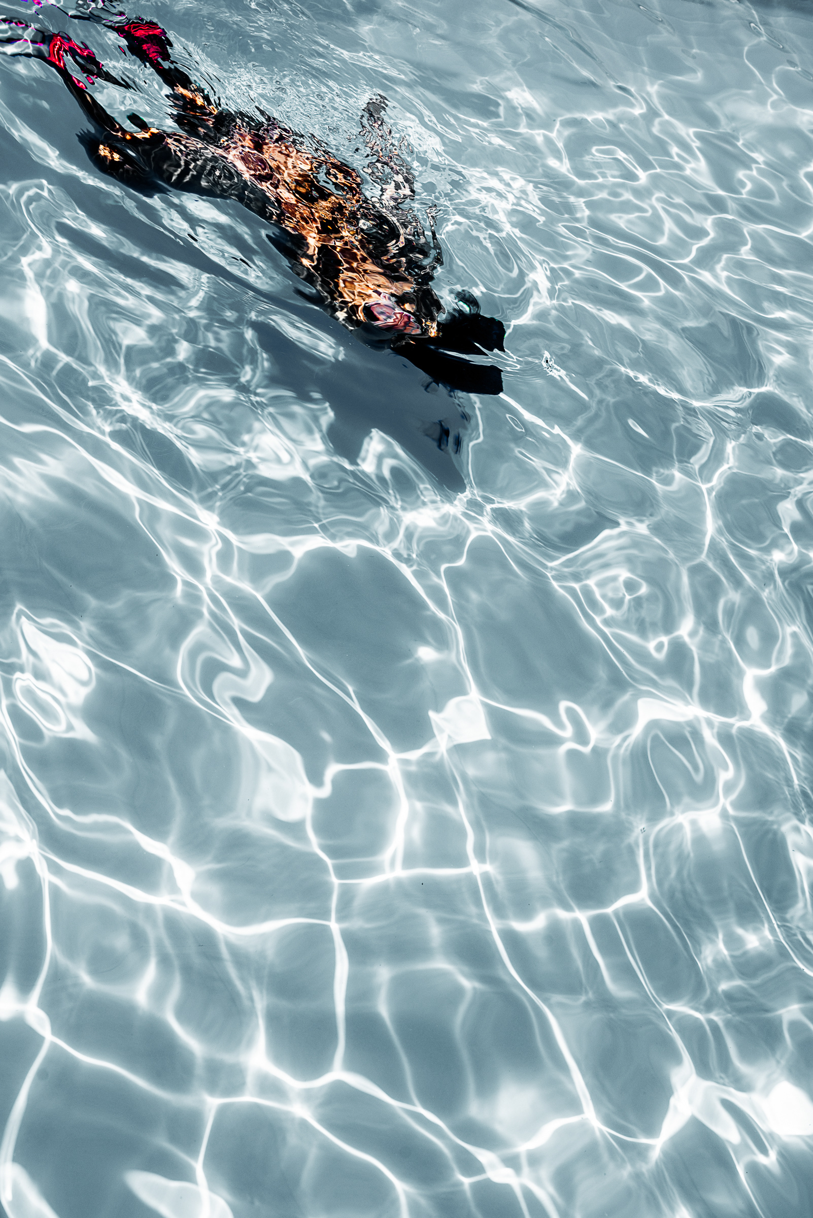 diver
