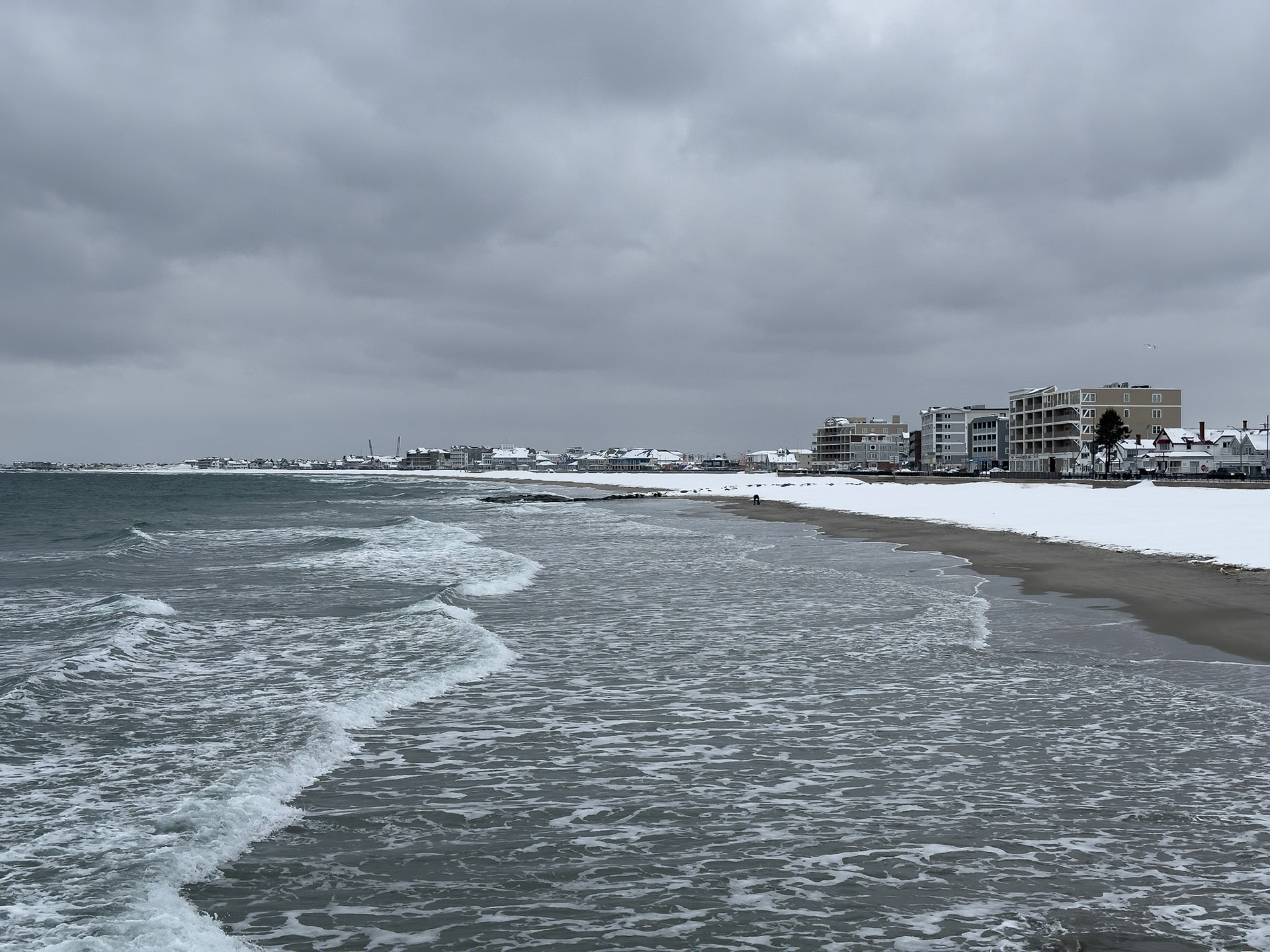 Mother Nature's Grayscale Filter