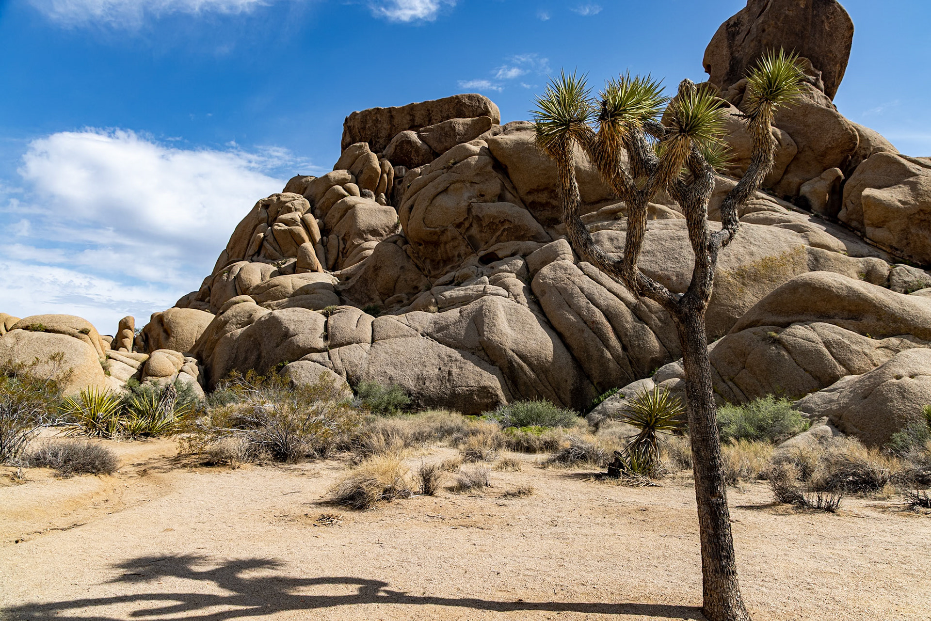 Joshua Tree National Park, California