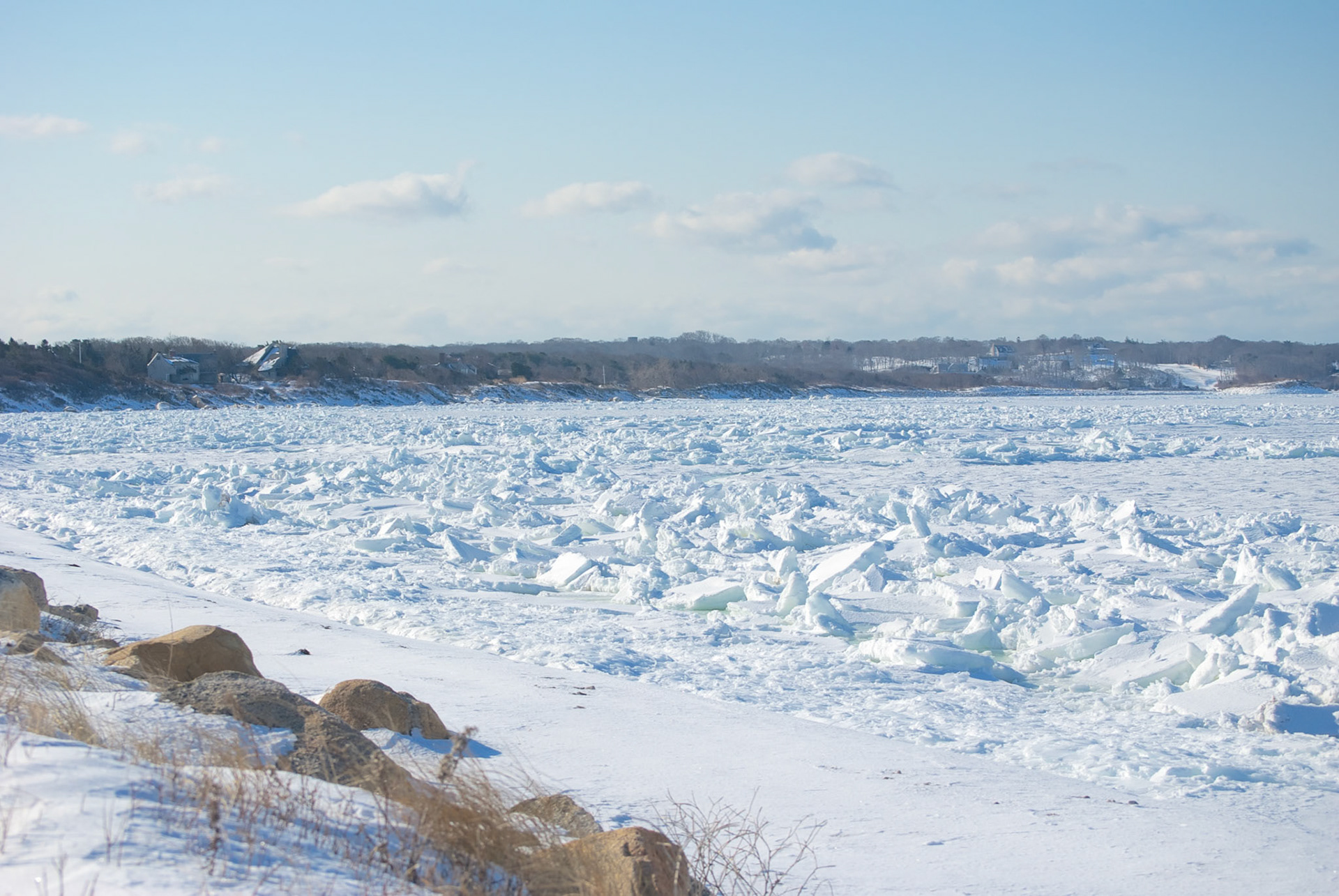 Ice Flows on the Move