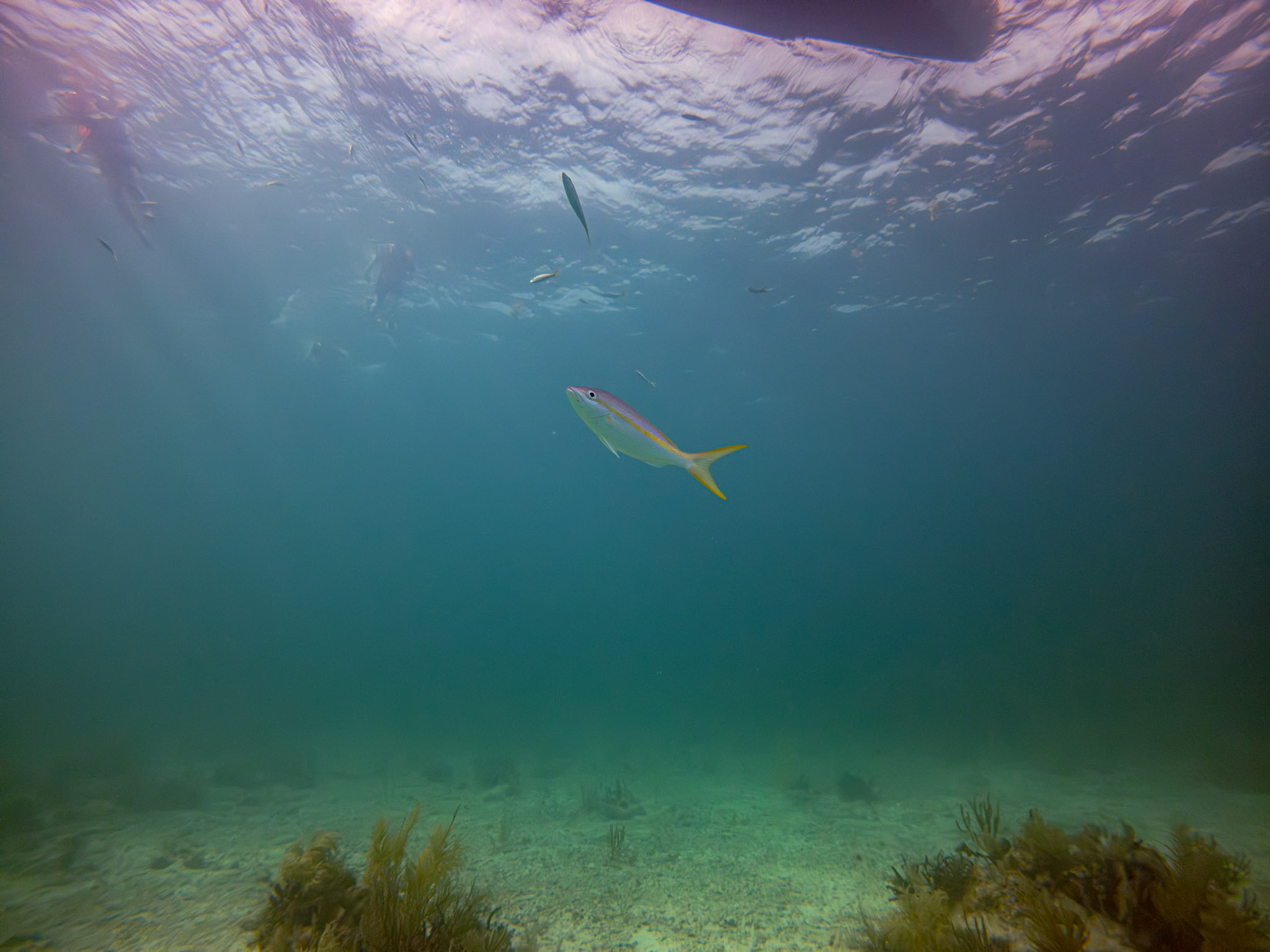C:\DCIM\100GOPRO\GOPR3623.GPR