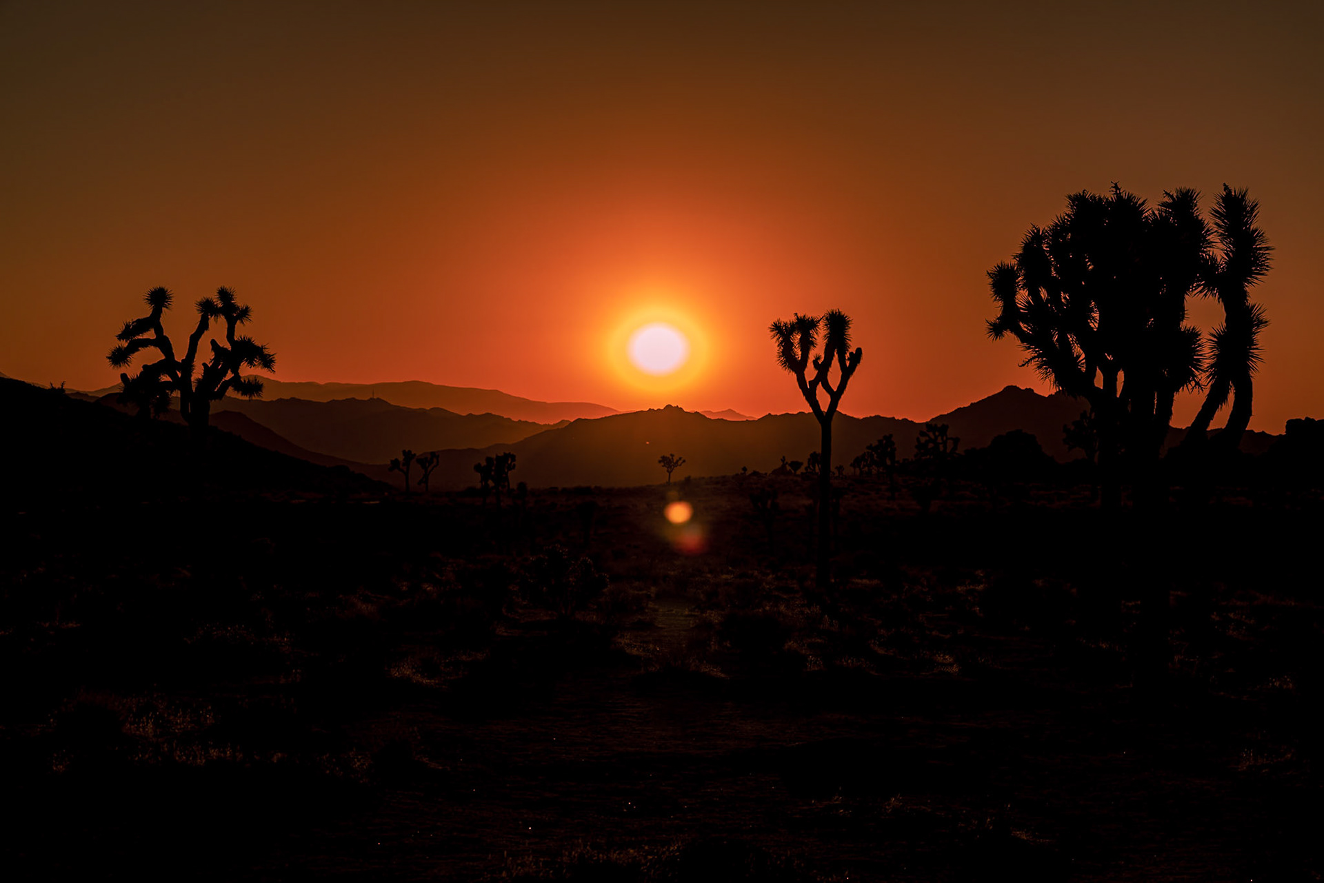 Joshua Tree National Park, California