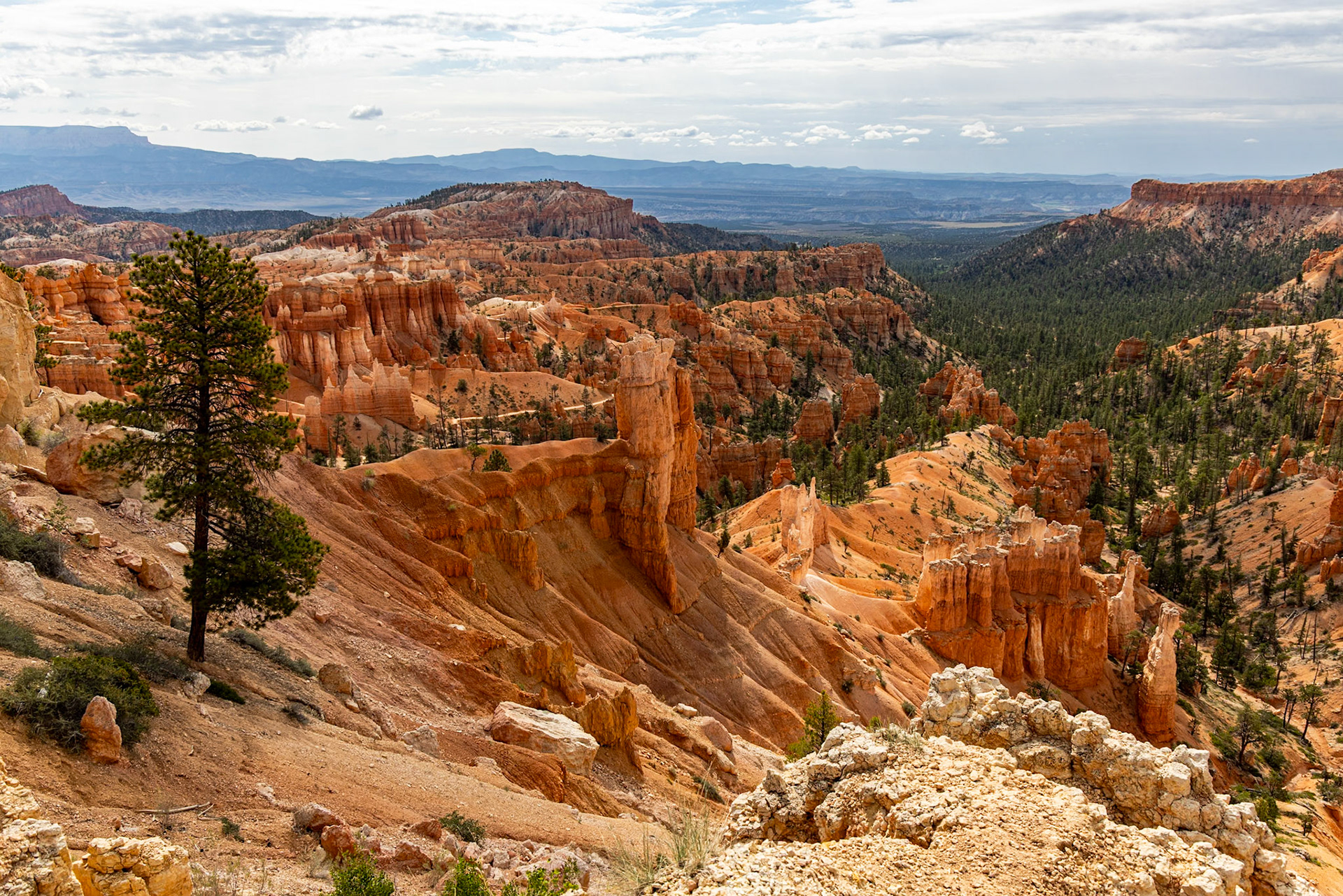 Bryce Canyon National Park, Utah