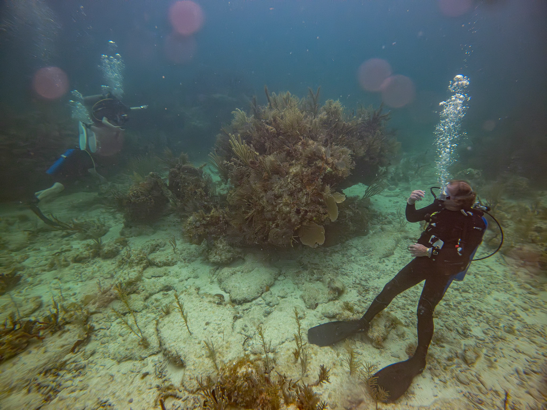 C:\DCIM\100GOPRO\GOPR3598.GPR