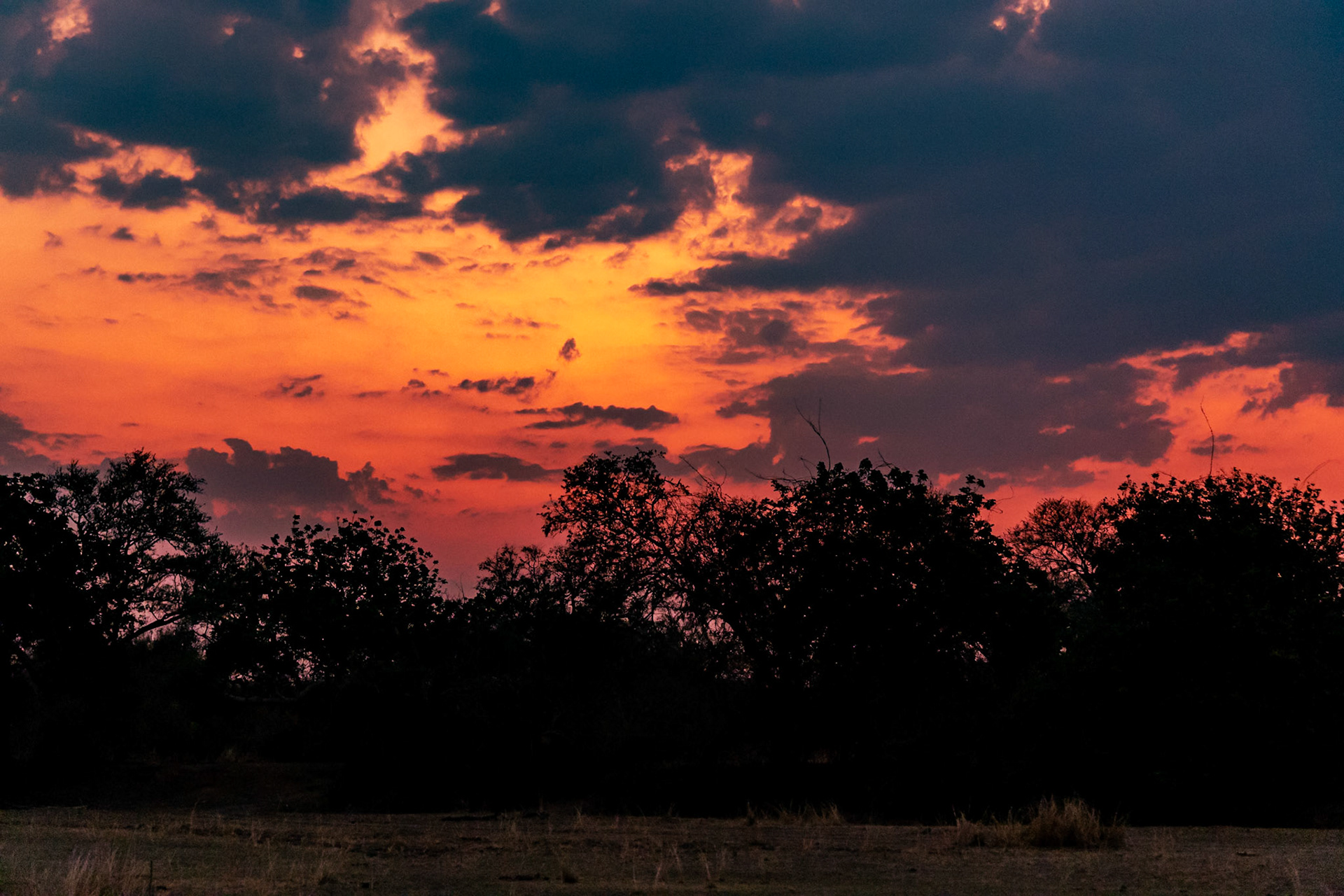 South Luangwa National Park, Zambia