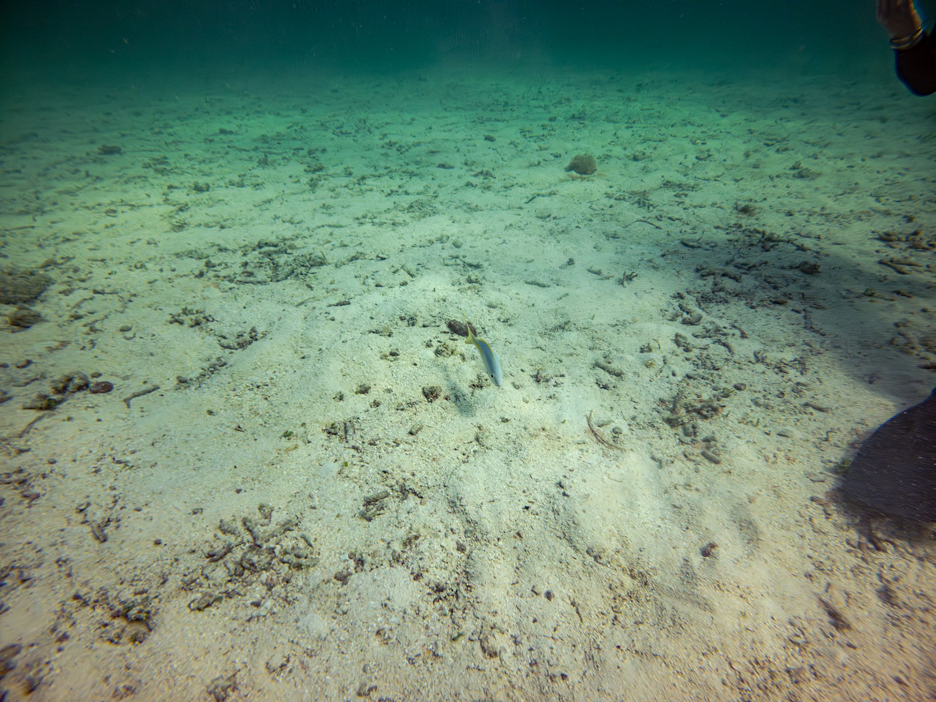 C:\DCIM\100GOPRO\GOPR3621.GPR