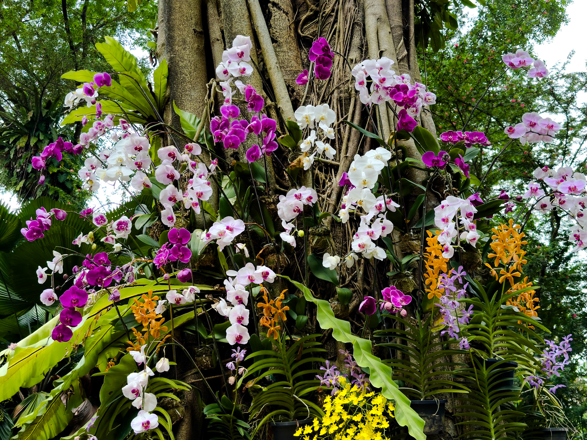 Kuala Lumpur, Malaysia