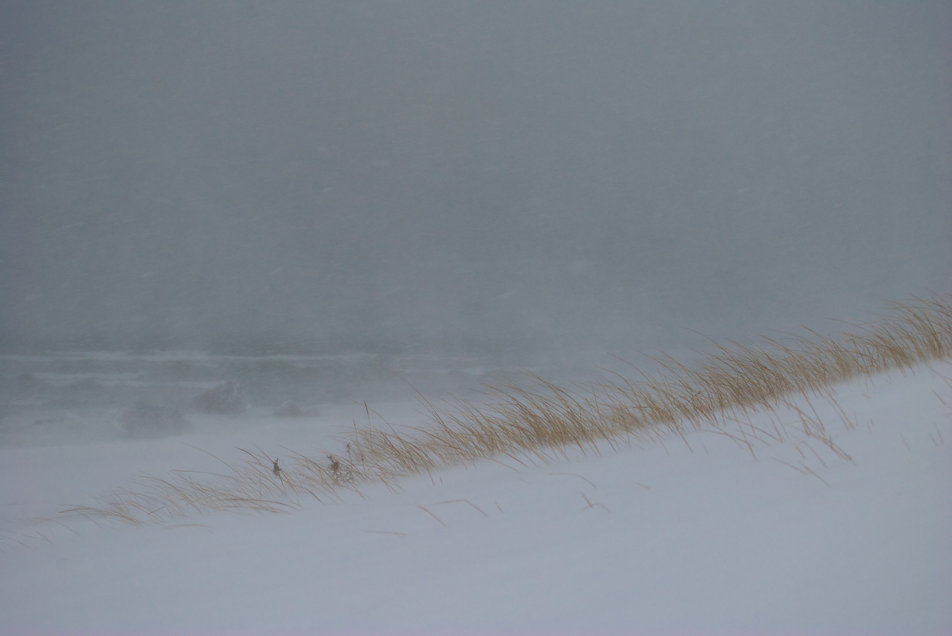 Blizzard at the Beach