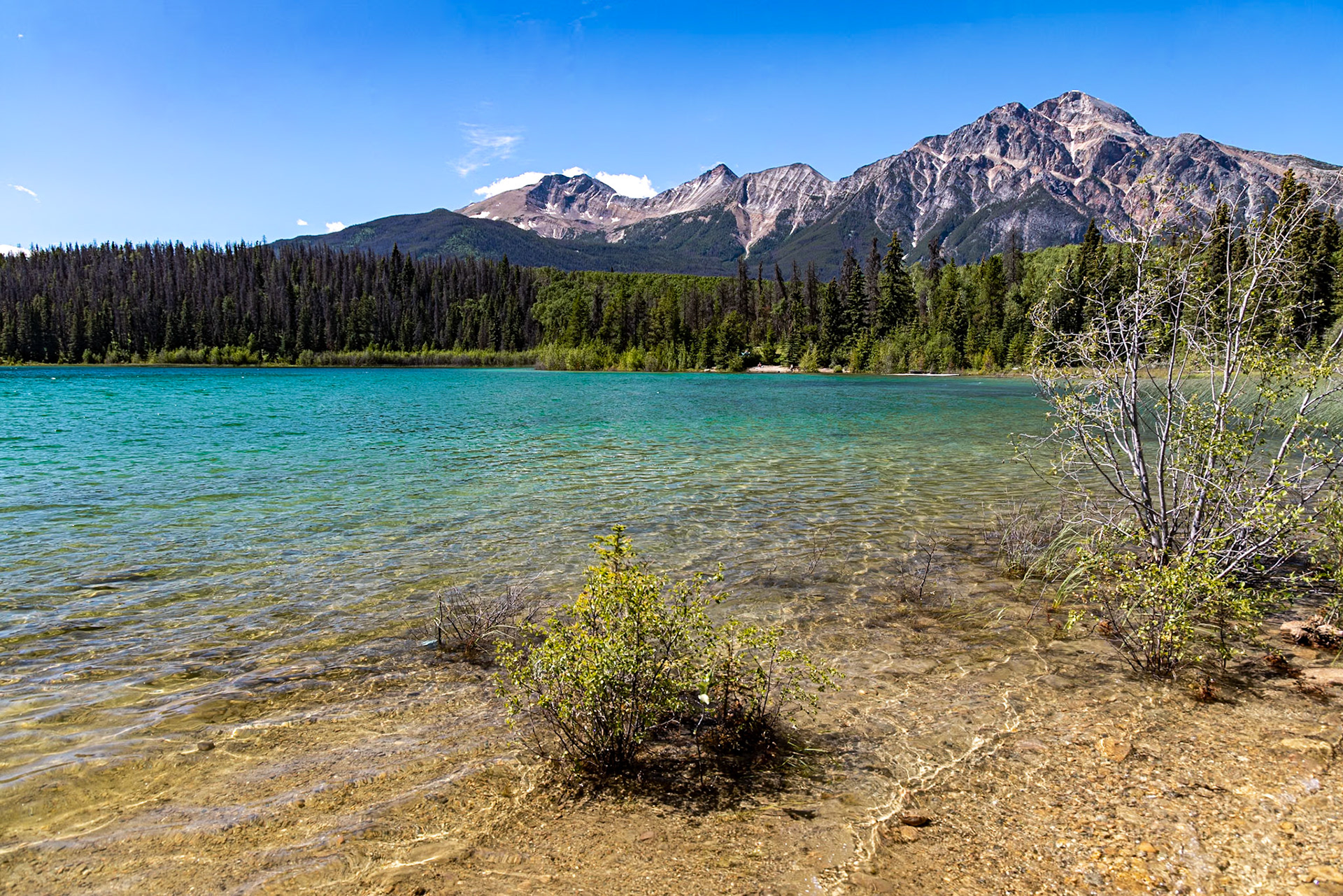Jasper National Park, Alberta, Canada