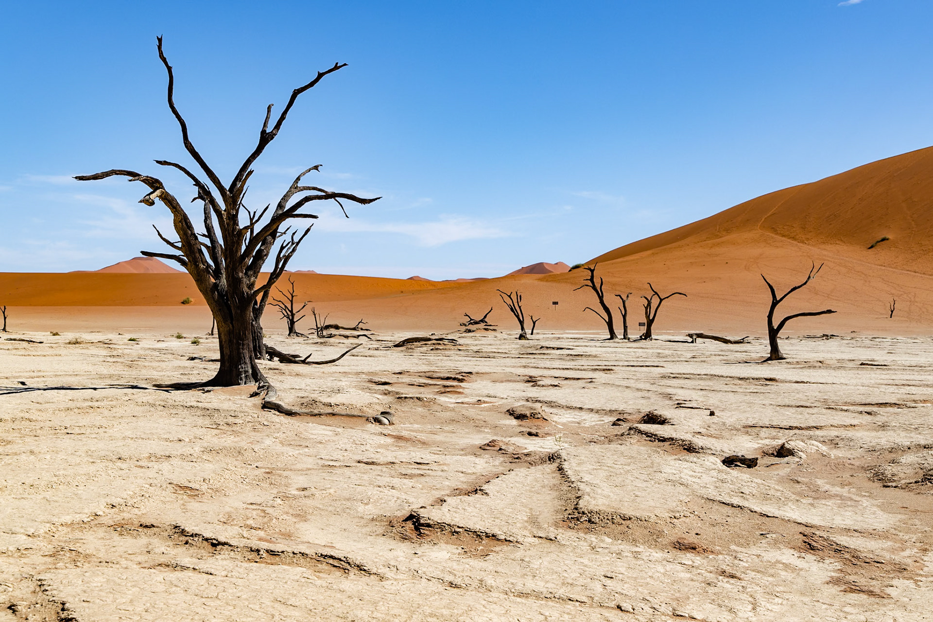 Namibia: A Land That Stretches Beyond Imagination