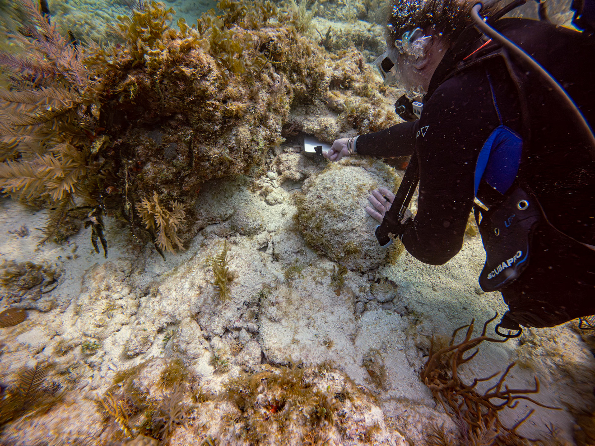 C:\DCIM\100GOPRO\GOPR3614.GPR