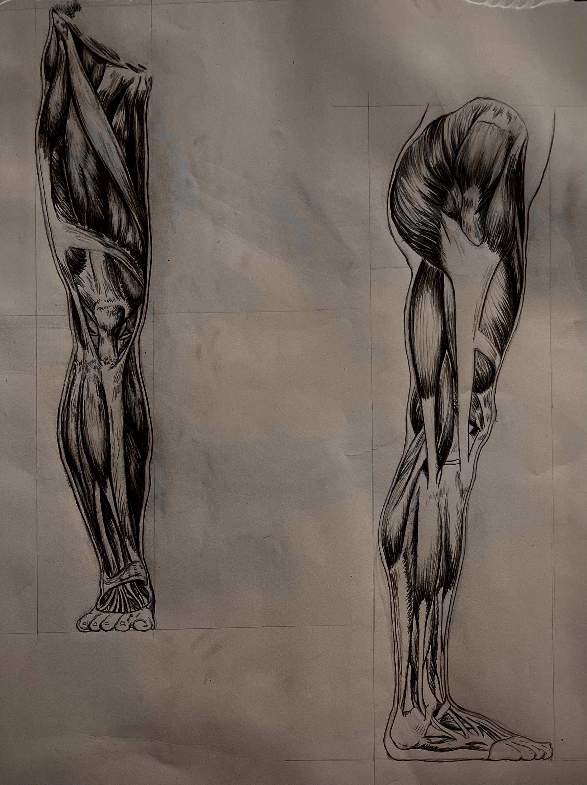 Anatomical Study V (2023)