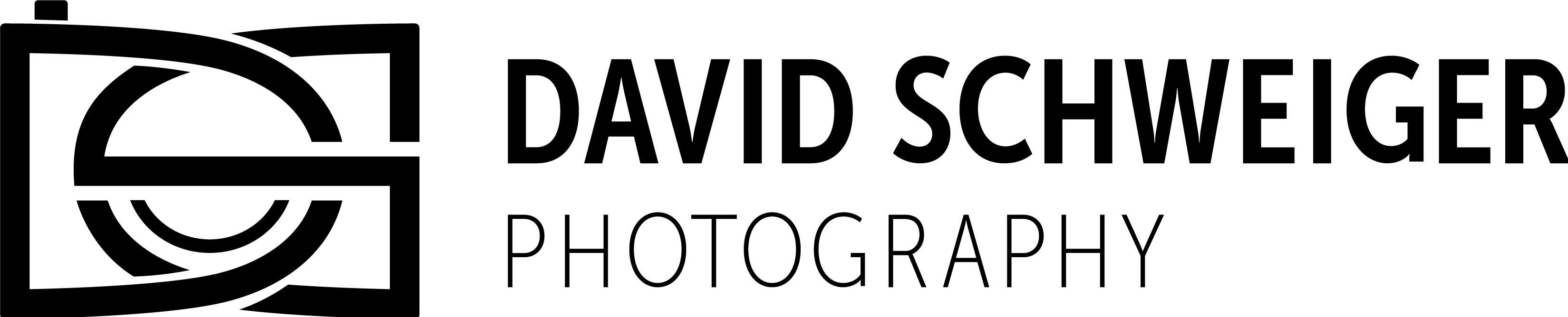 David Schweiger