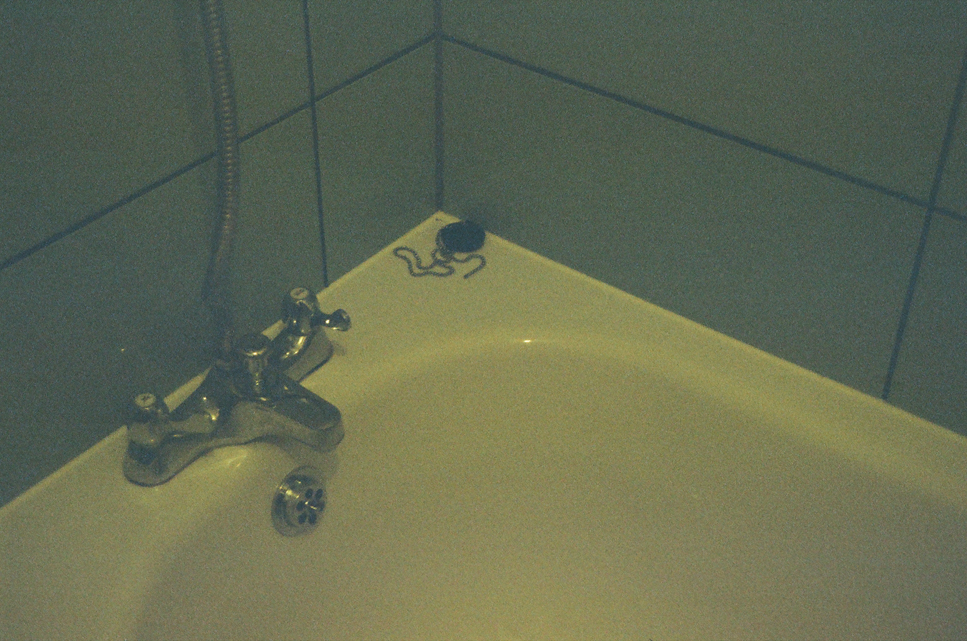 Untitled