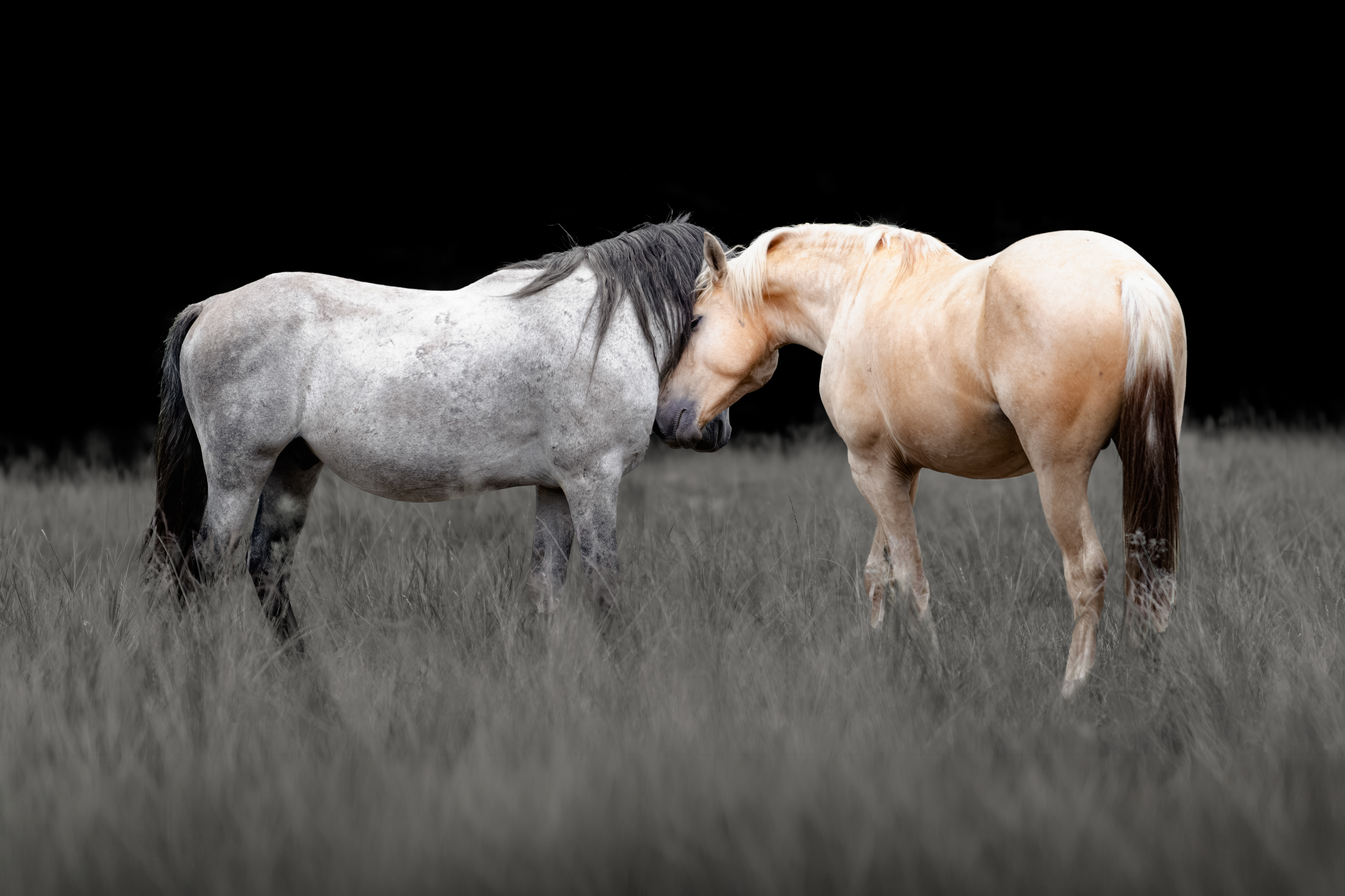 Tenderness