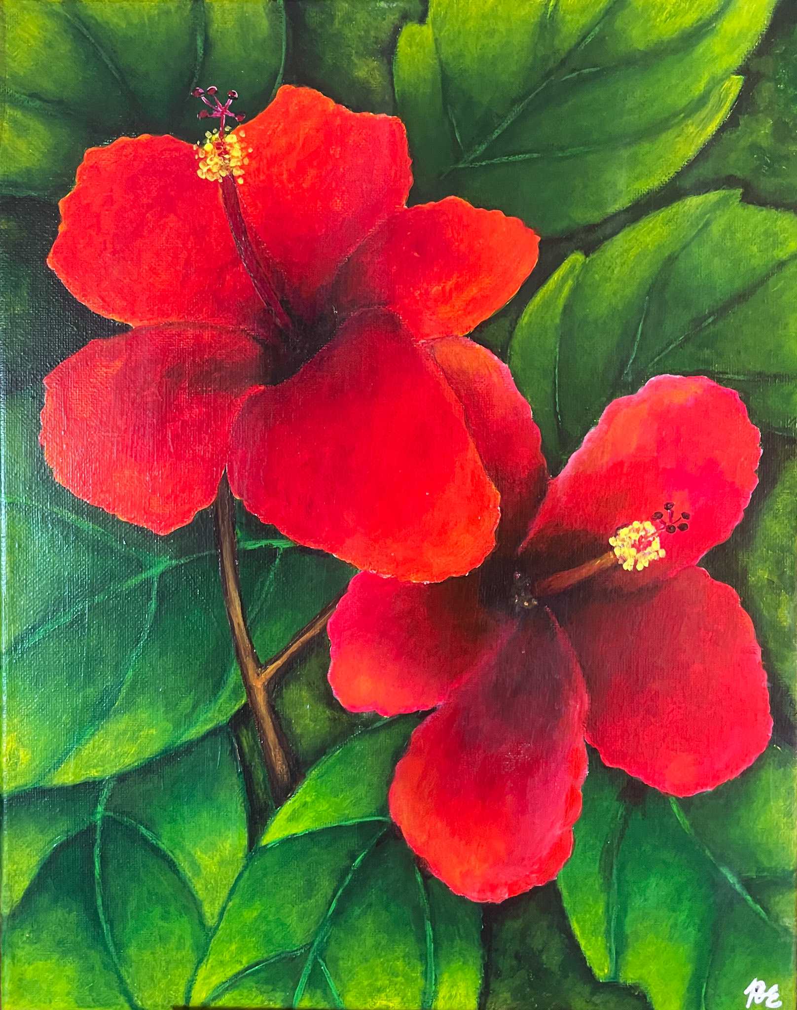 "Red Hibiscus", acrylic on canvas, 11"x14", October 2024