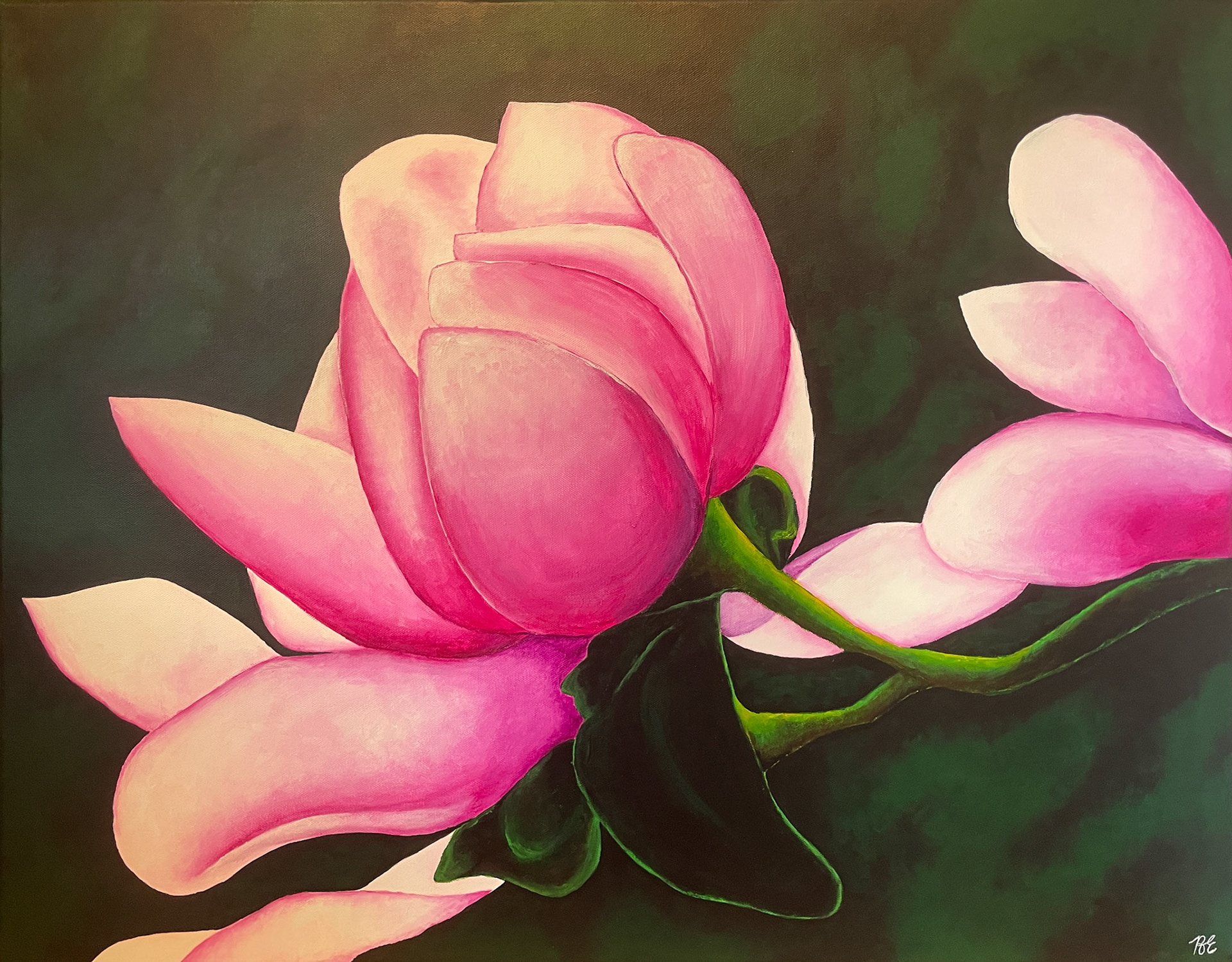 "Pink Magnolia", acrylic on canvas, 24"x30", November 2024