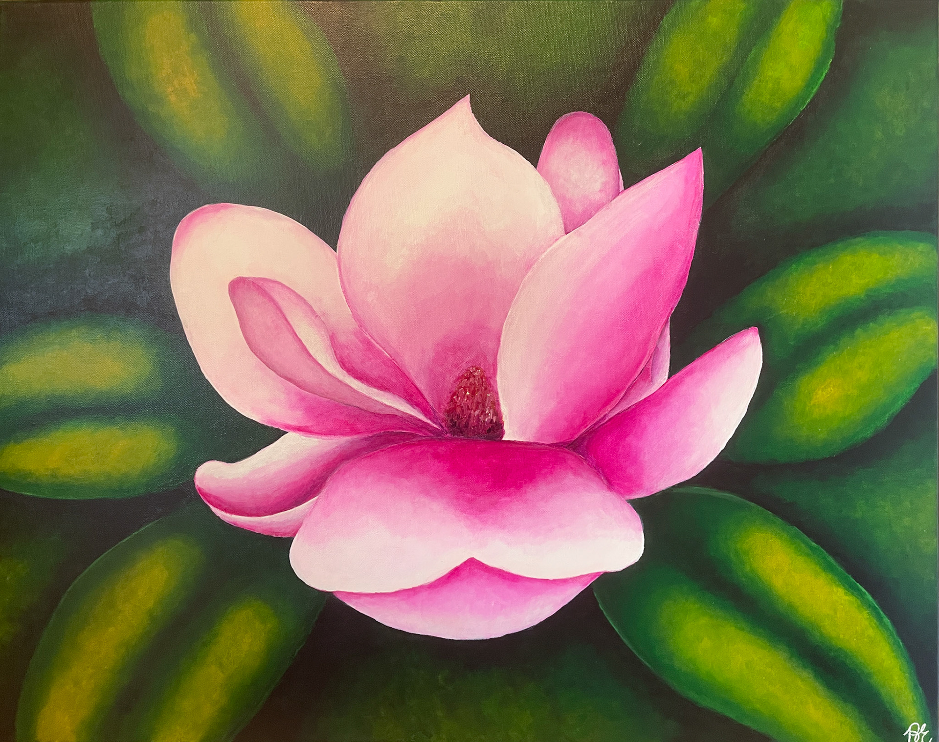 "Pink Magnolia", acrylic on canvas, 24"x30", November 2024