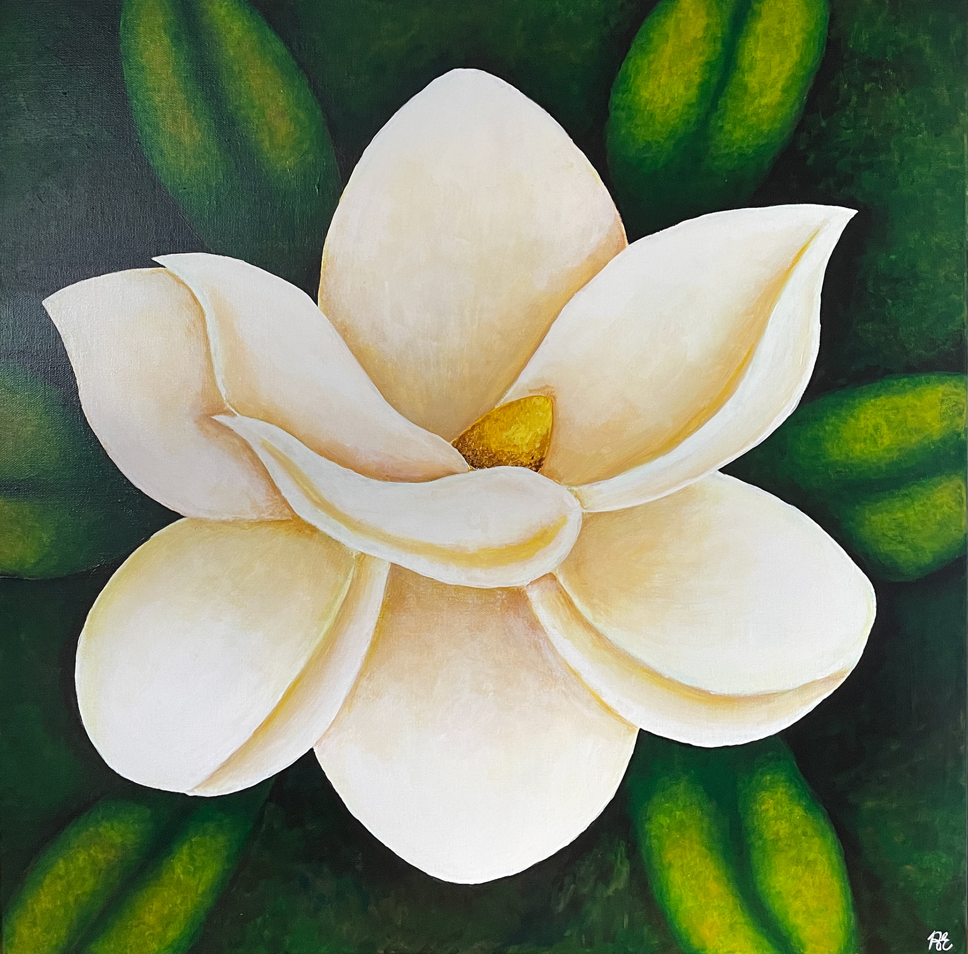 "White Magnolia", acrylic on canvas, 24"x24", November 2024