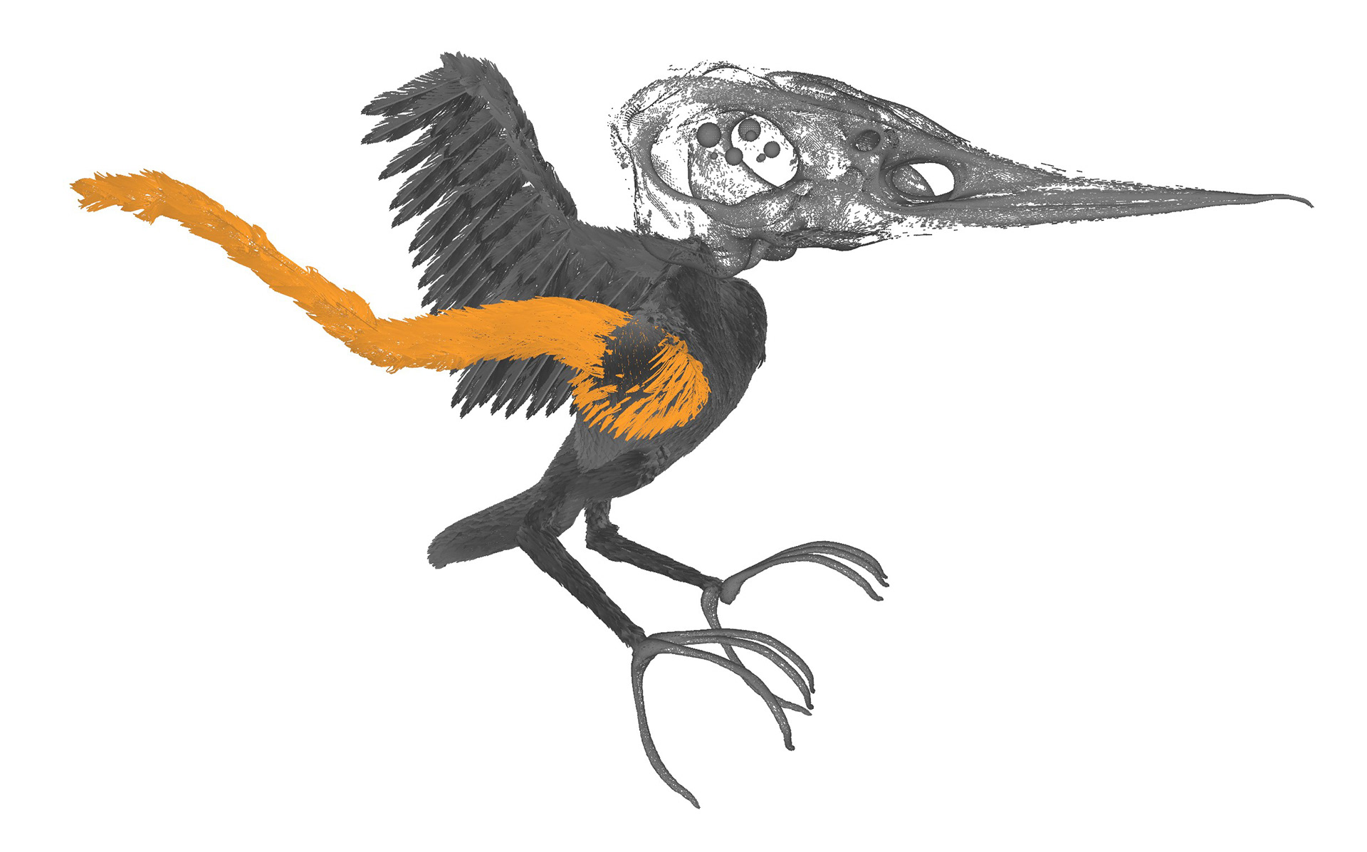 13: It took so long to figure out how to mirror the wings with particle systems, I had to brute force it but got good enough results.