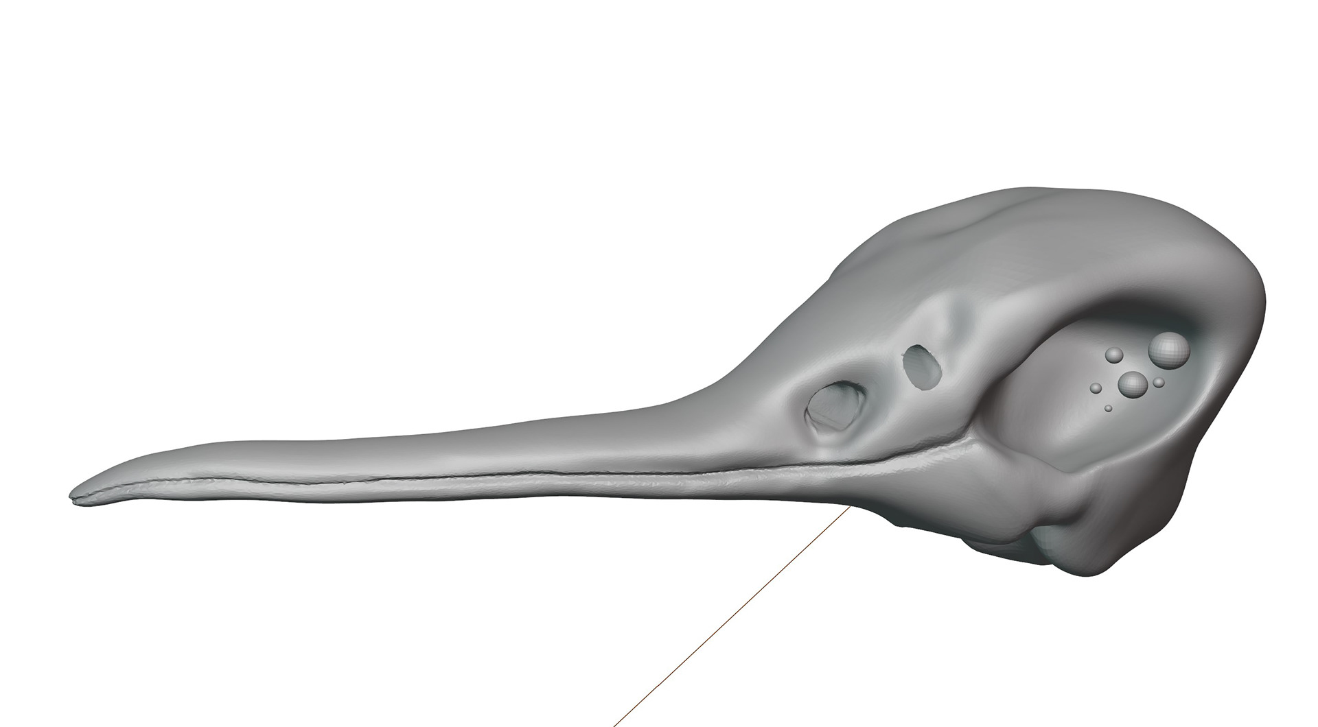 3: Head with more detail