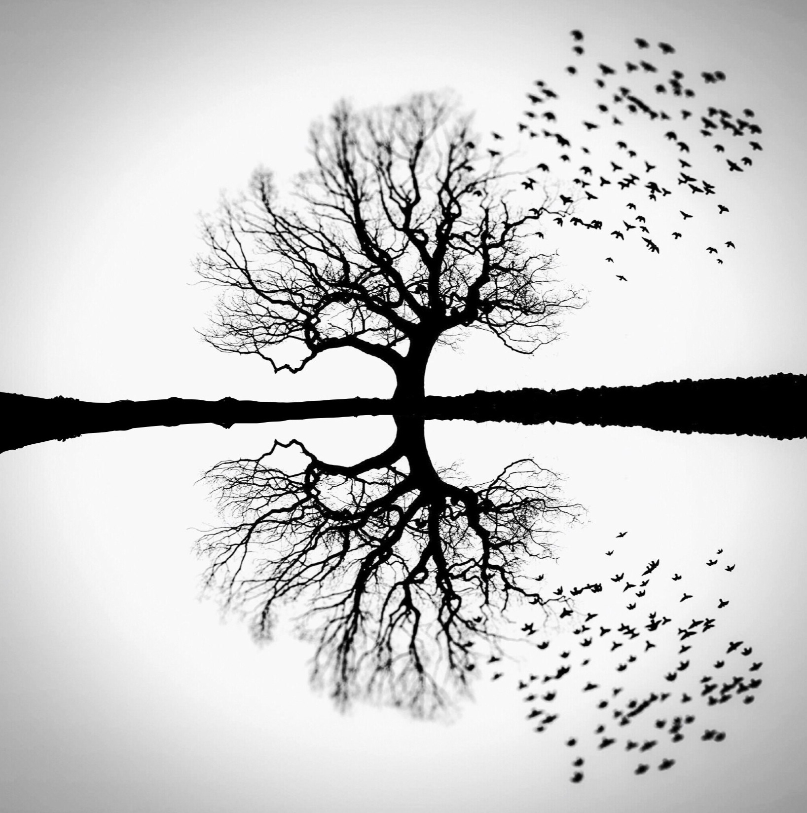 Floodlands